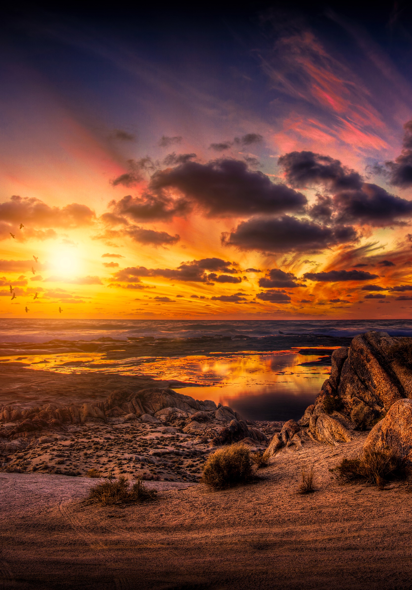 Earth Sunset, Sea, Ocean, Beach, Horizon, Sky, 1668x2388, Phone HD Wallpaper