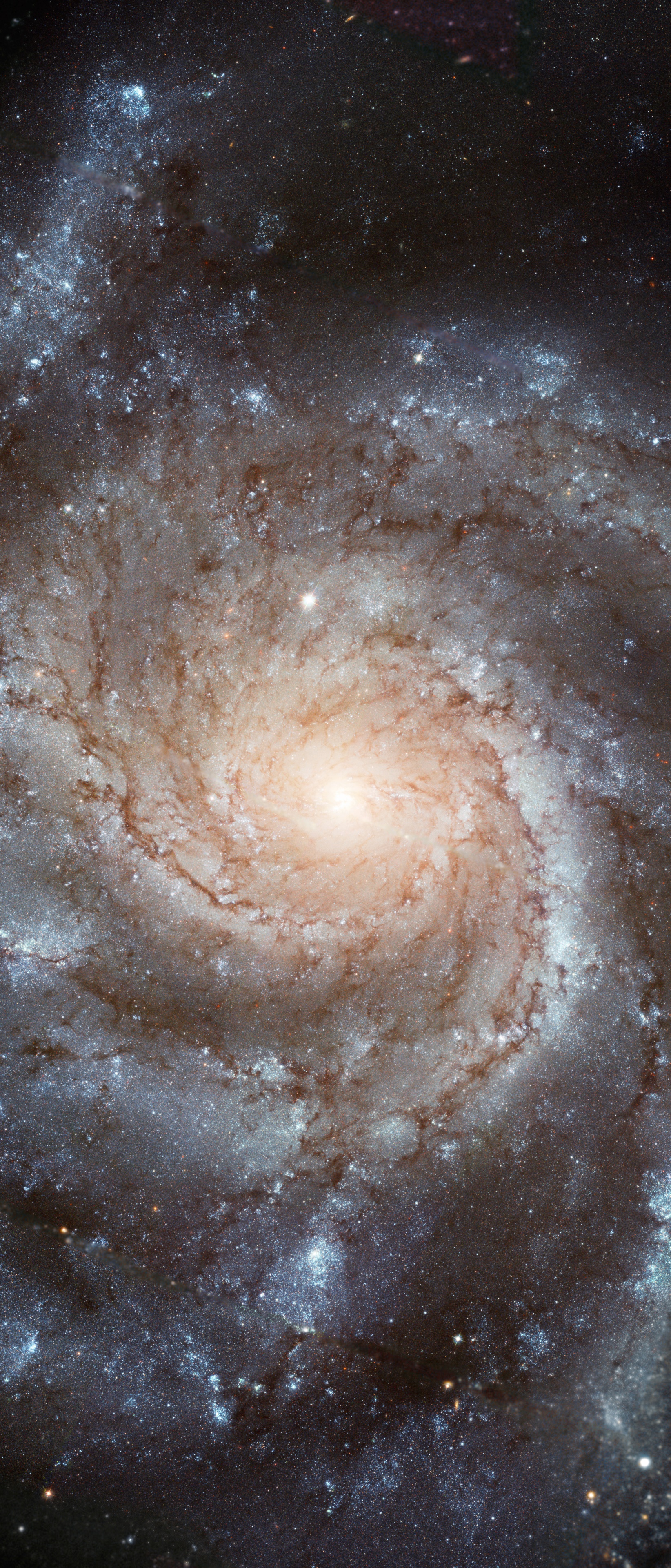 Sci Fi Galaxy, Space, Stars, 1644x3840, Phone HD Wallpaper