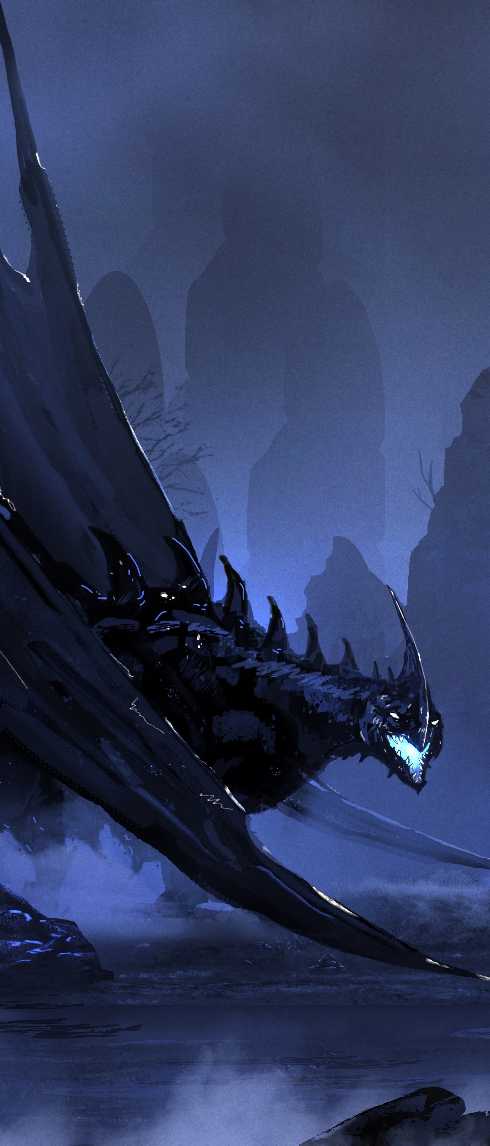 Fantasy Dragon, Warrior, 1644x3840, Phone HD Wallpaper