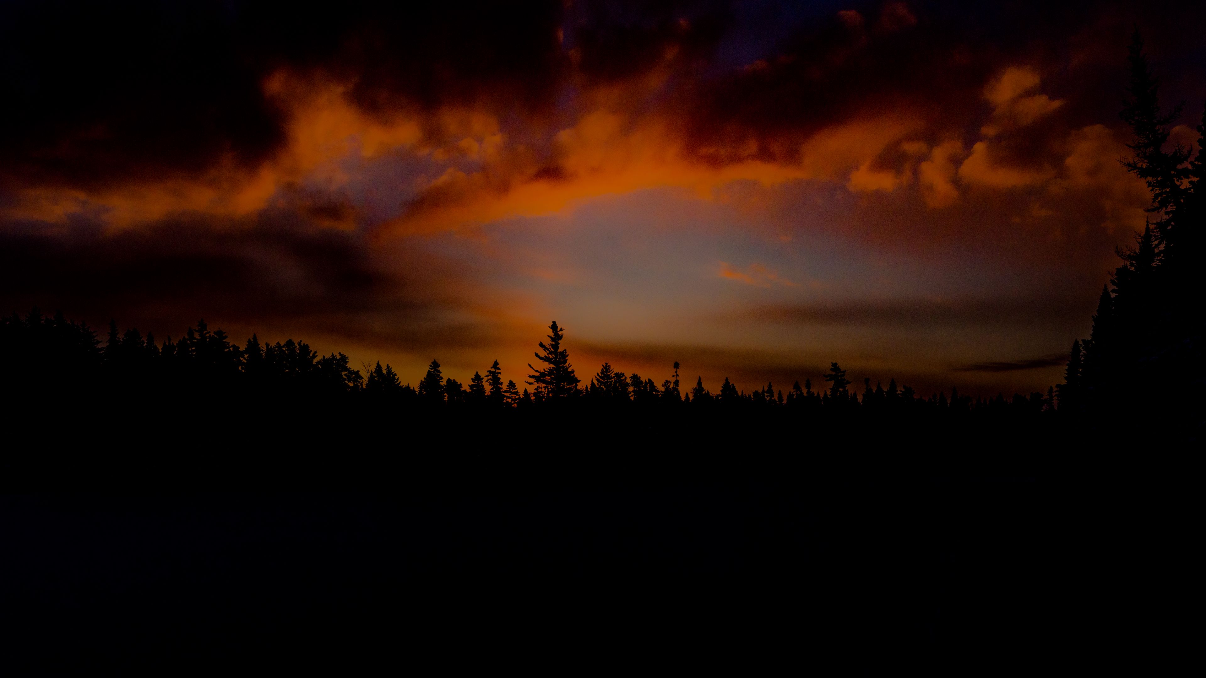 sunset, trees, sky, clouds, 4k, HD Wallpaper