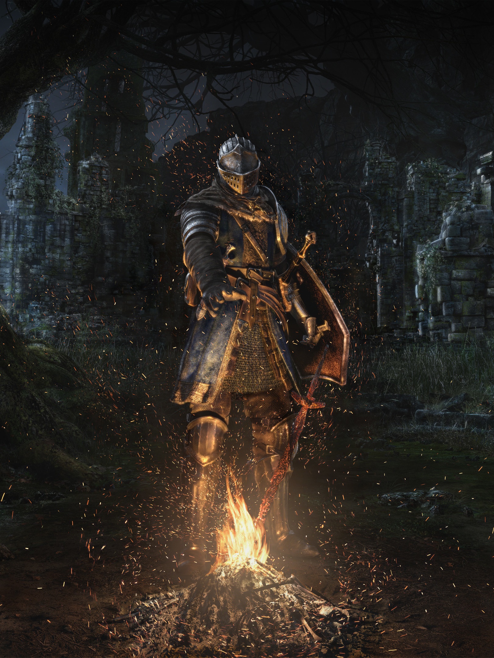 Video Game Dark Souls, 1620x2160, Phone HD Wallpaper