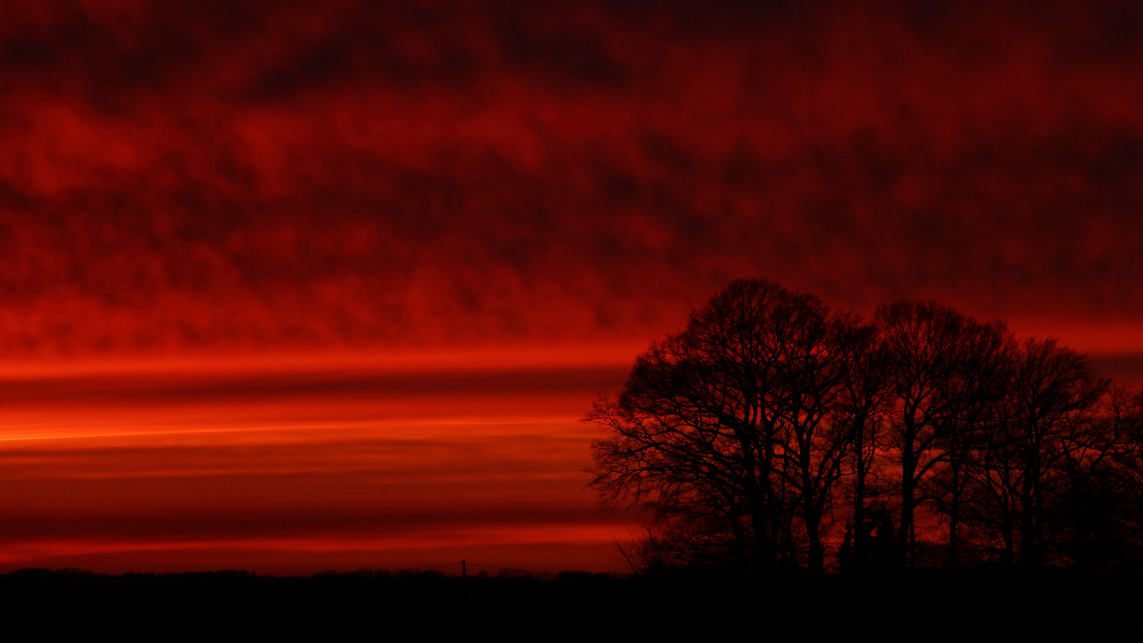 trees, silhouette, sunset, sky, red, 4k, HD Wallpaper