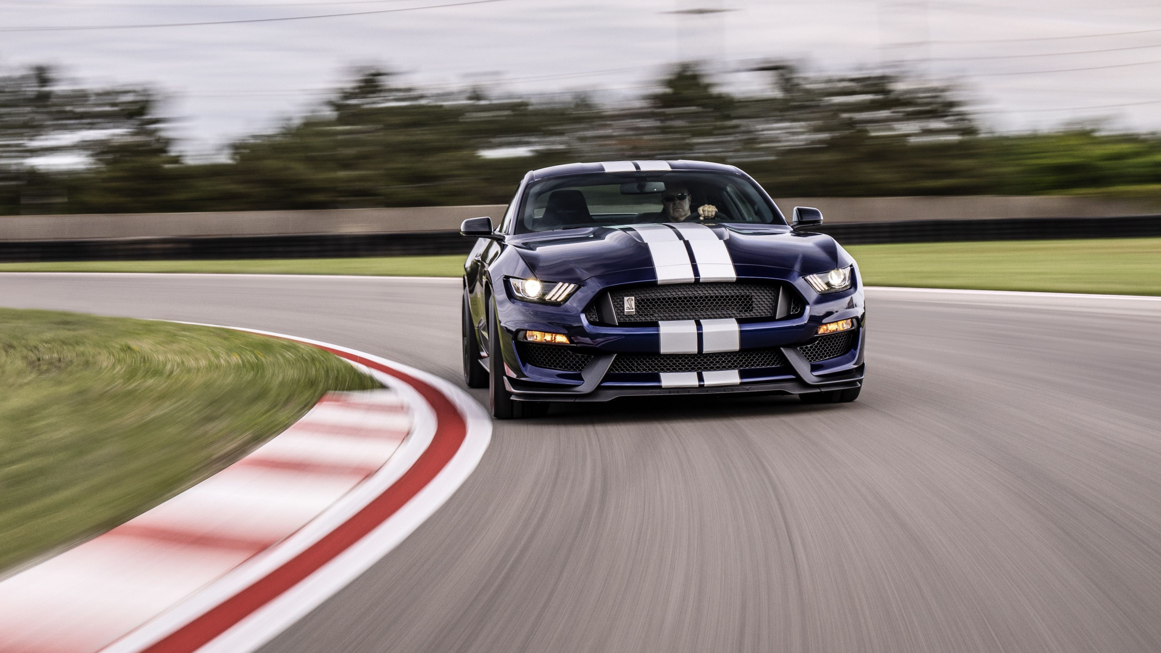 Ford Mustang Shelby GT350, 2019 Cars, 4K, HD Wallpaper
