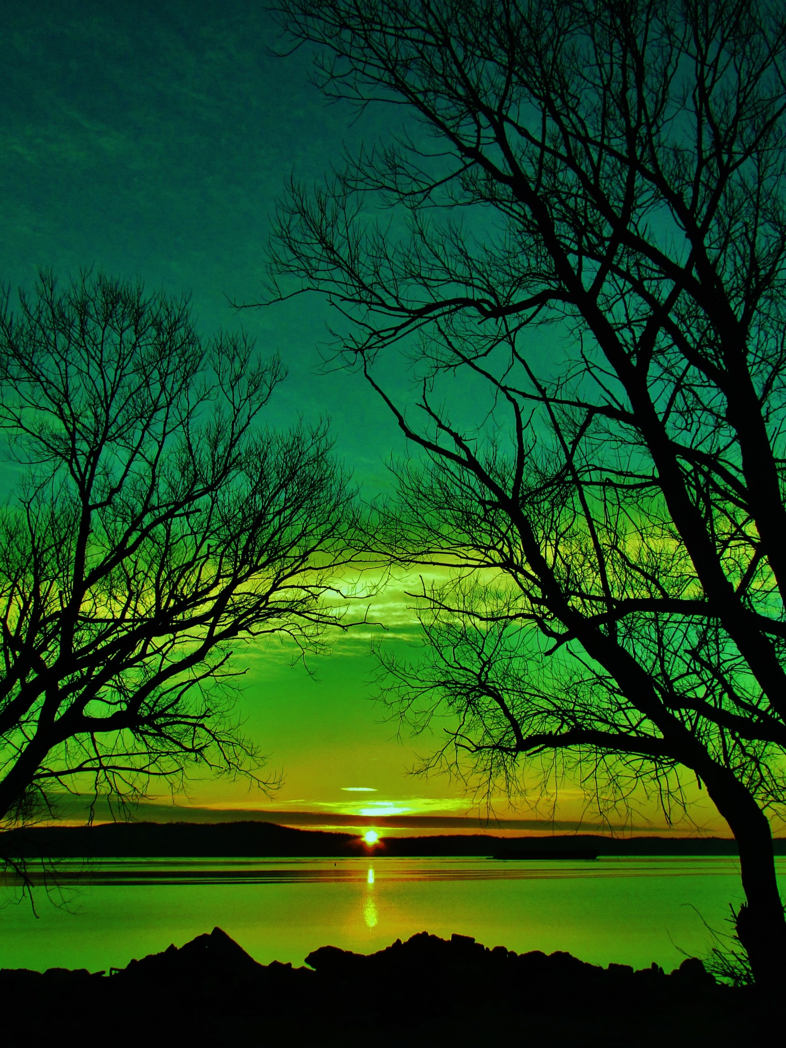 Earth Sunset, Green, Tree, Silhouette, Lake, 1536x2048, Phone HD Wallpaper