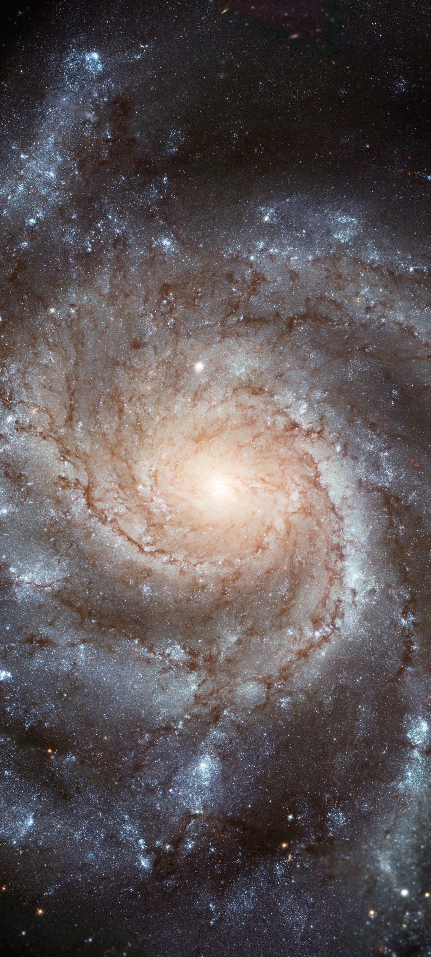 Sci Fi Galaxy, Stars, Space, 1440x3200, Phone HD Wallpaper