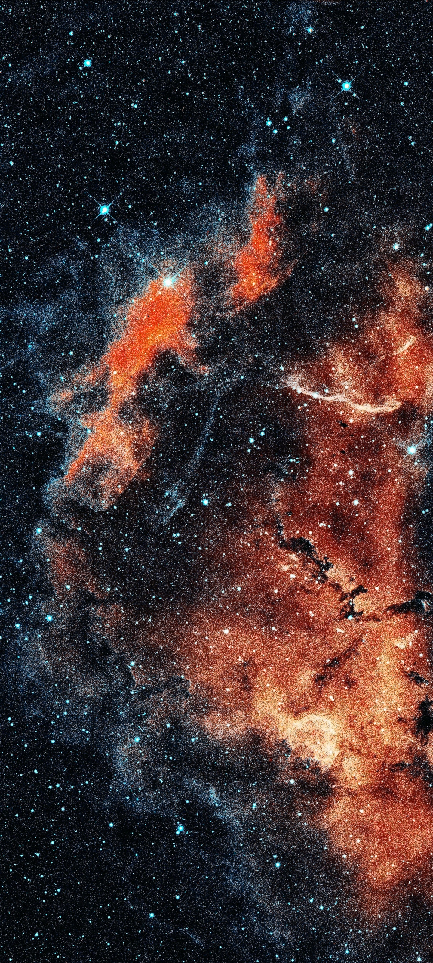 Sci Fi Nebula, 1440x3200, Phone HD Wallpaper
