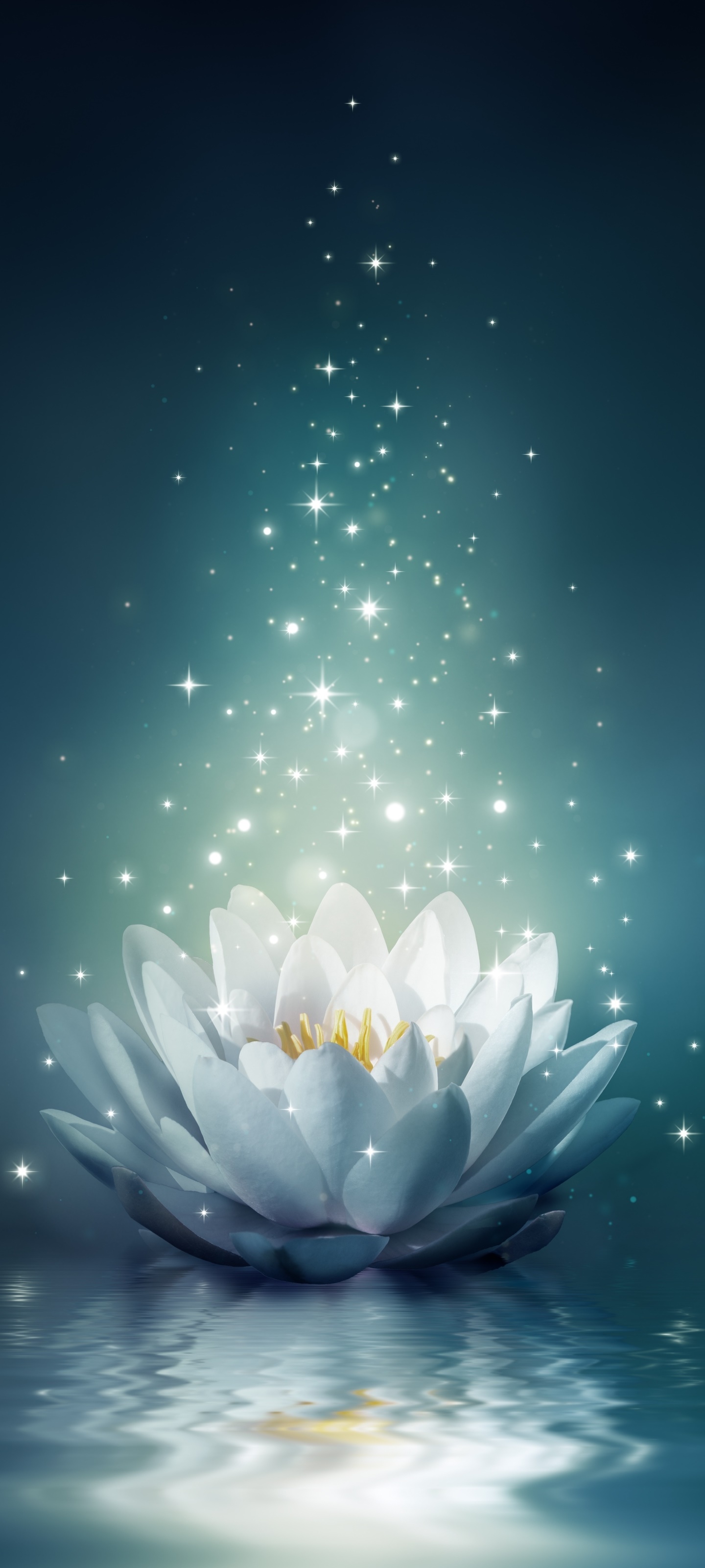 Artistic Flower, Water, Water Lily, Light, 1440x3200, Phone HD Wallpaper