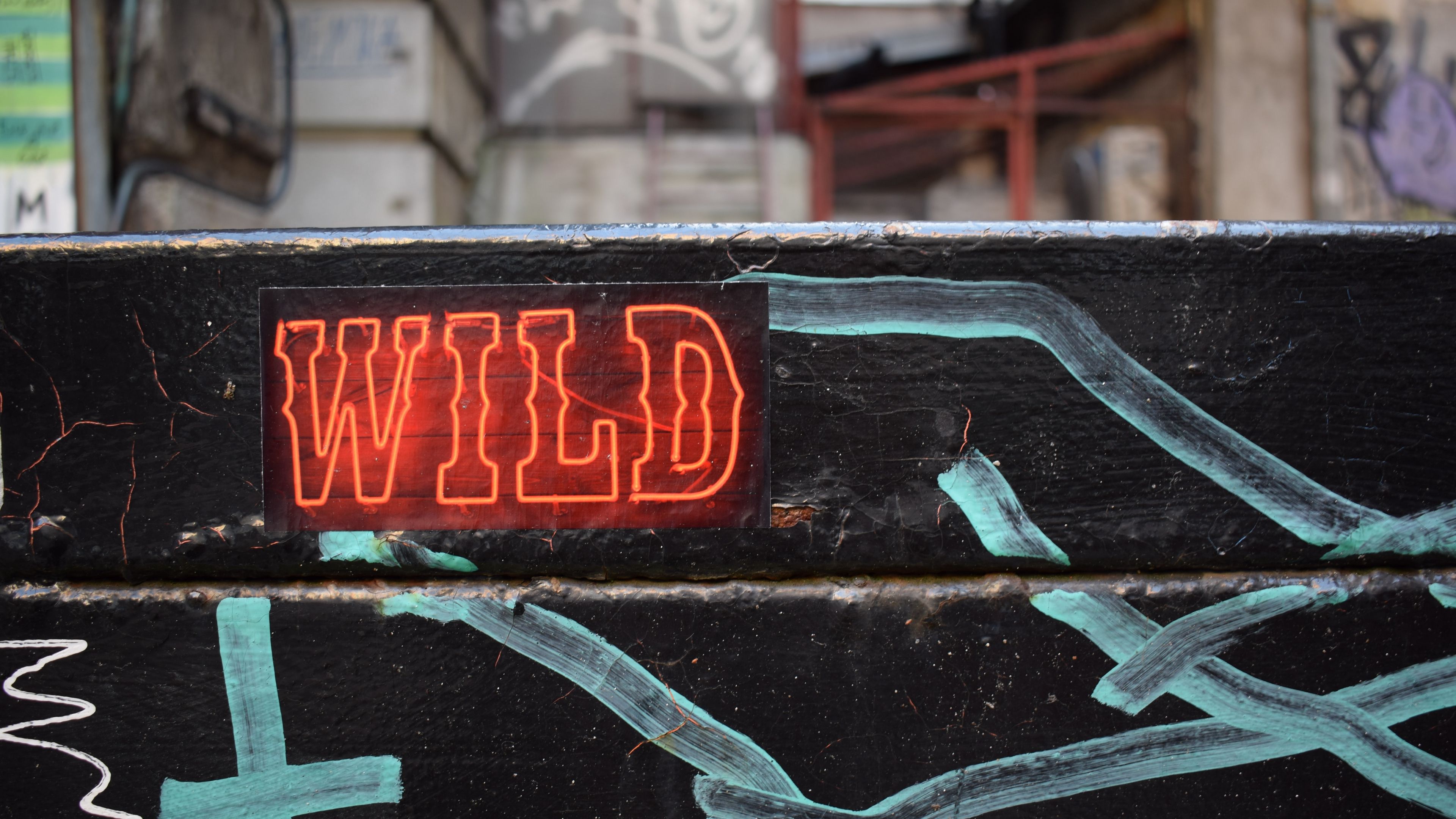 wild, neon, inscription, words, 4k, HD Wallpaper