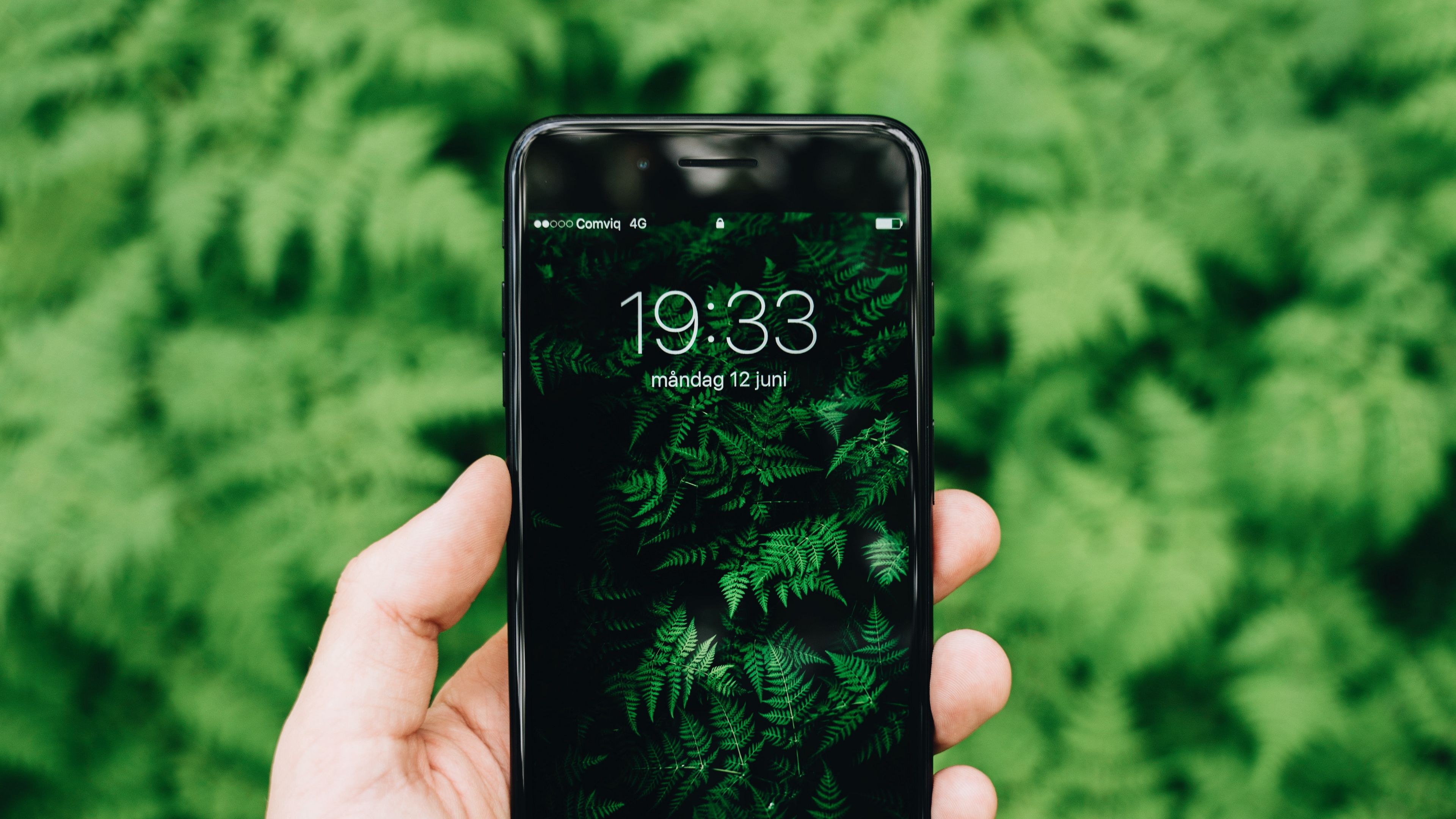 phone, hand, grass, 4k, HD Wallpaper