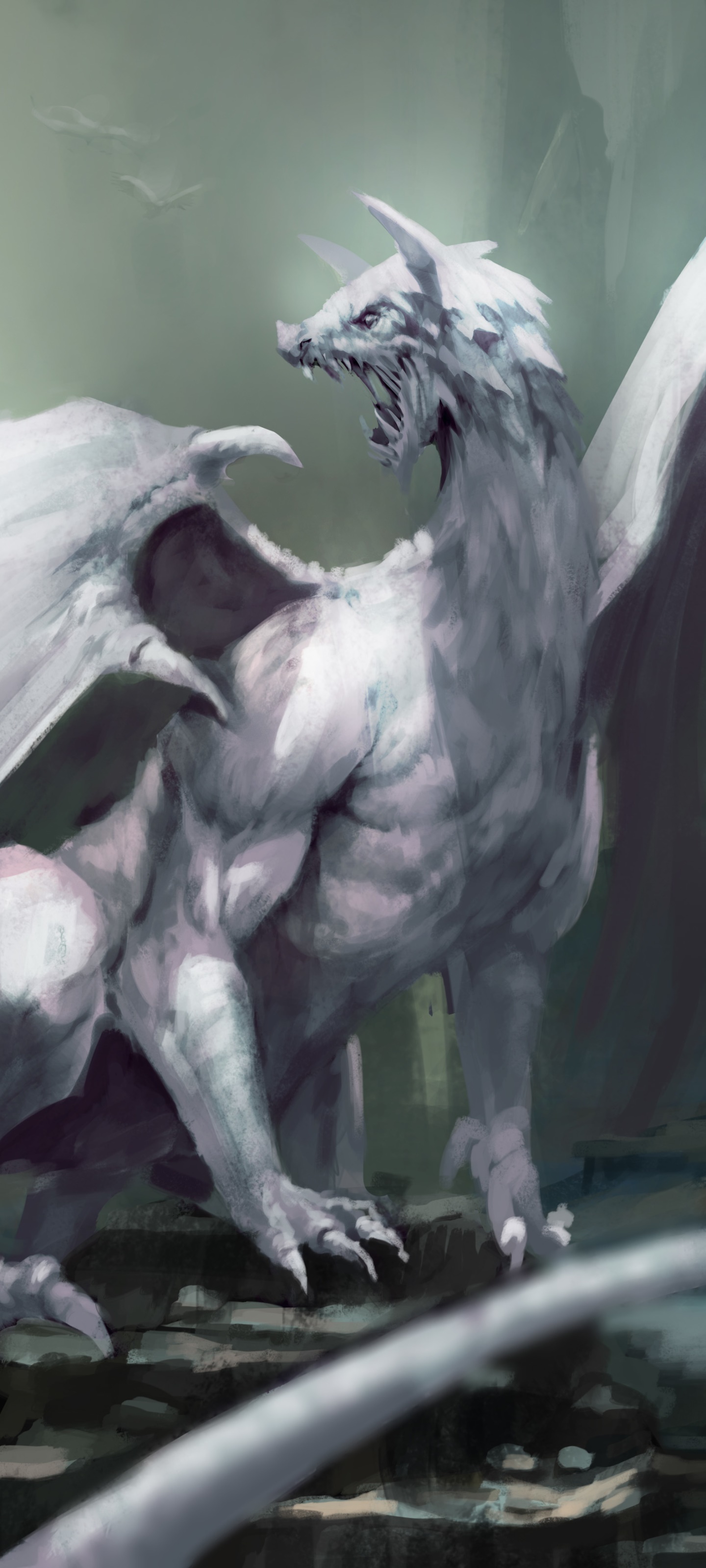 Fantasy Dragon, 1440x3200, Phone HD Wallpaper