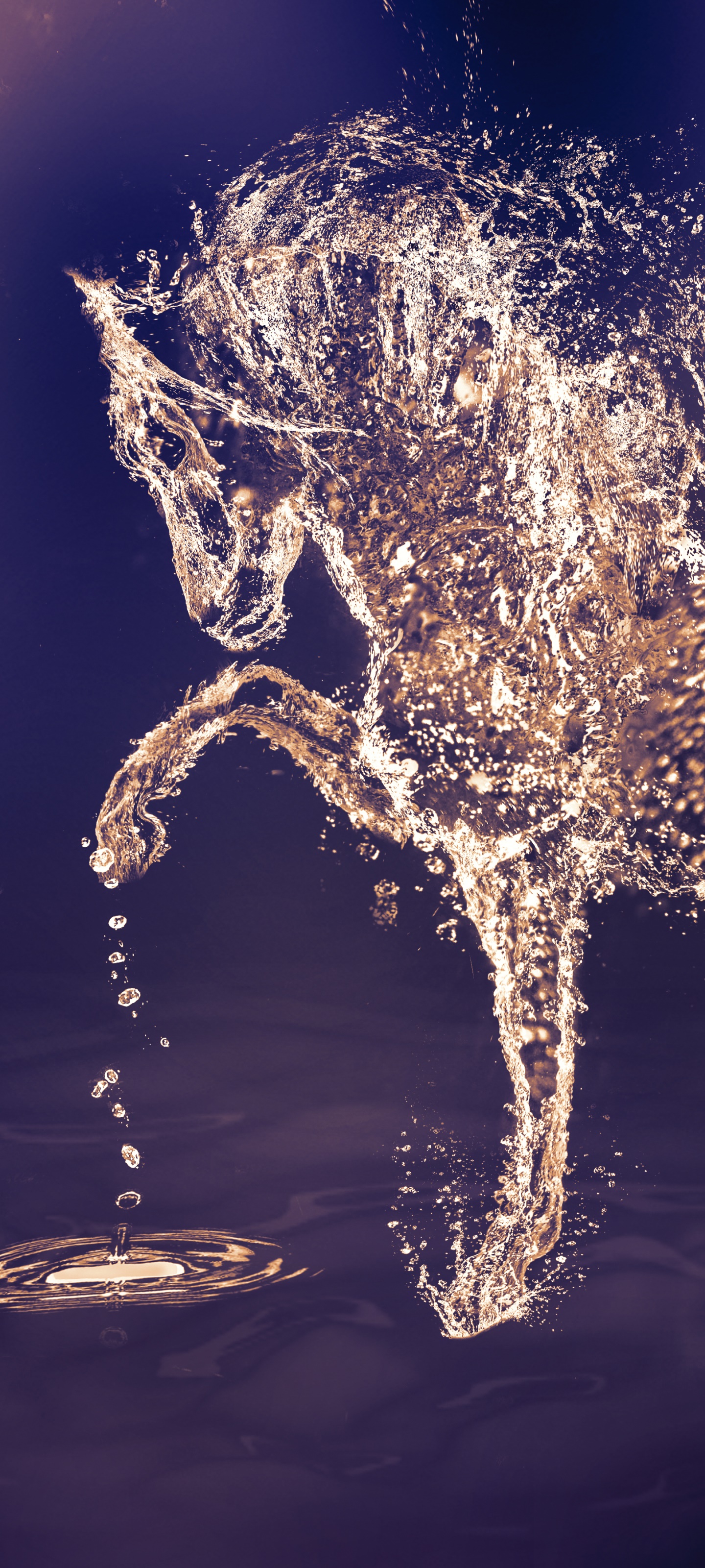 Animal Horse, 1440x3200, Phone HD Wallpaper
