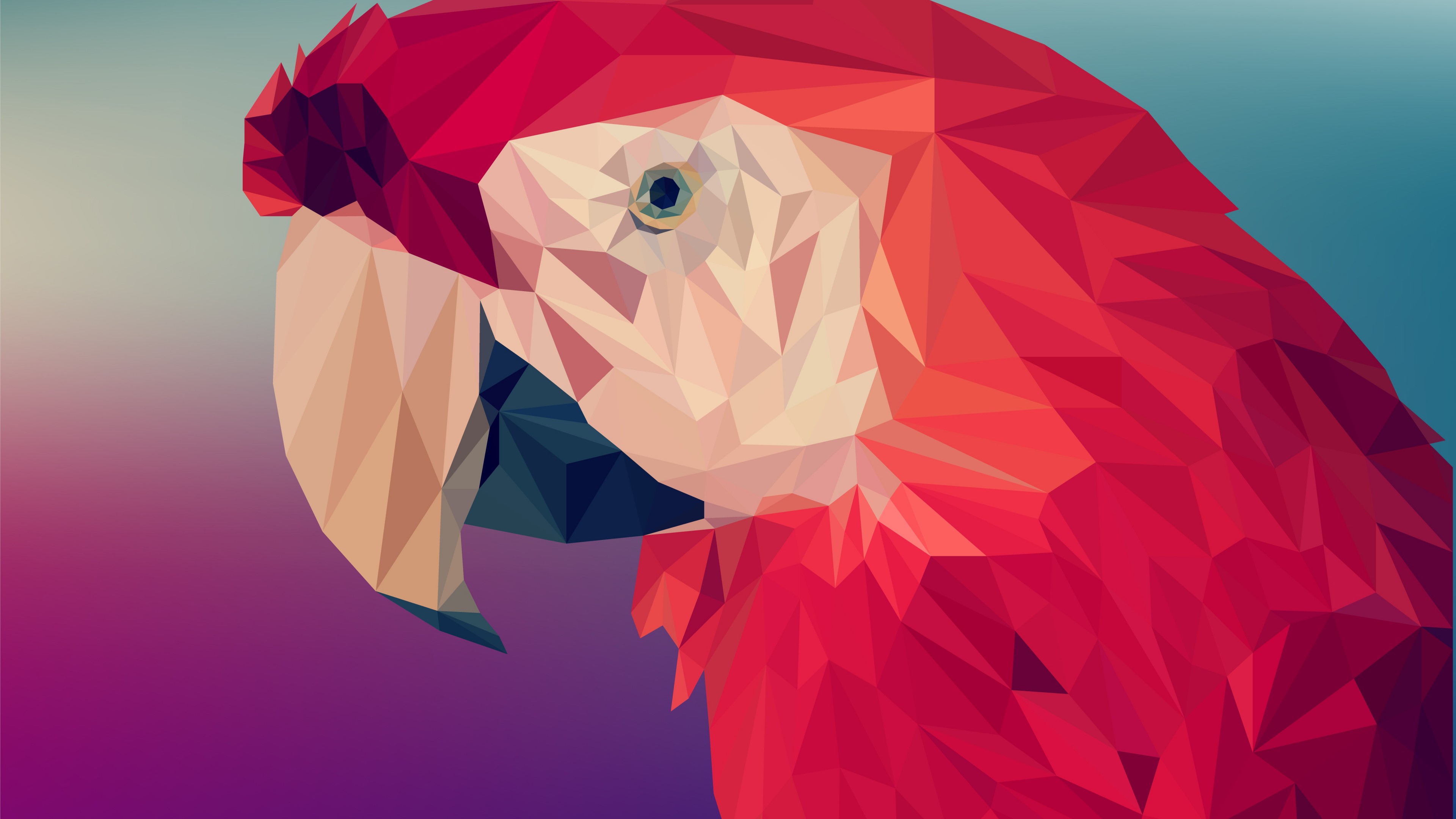 Digital Art, Parrot, Polygon, 4K, 6K, HD Wallpaper