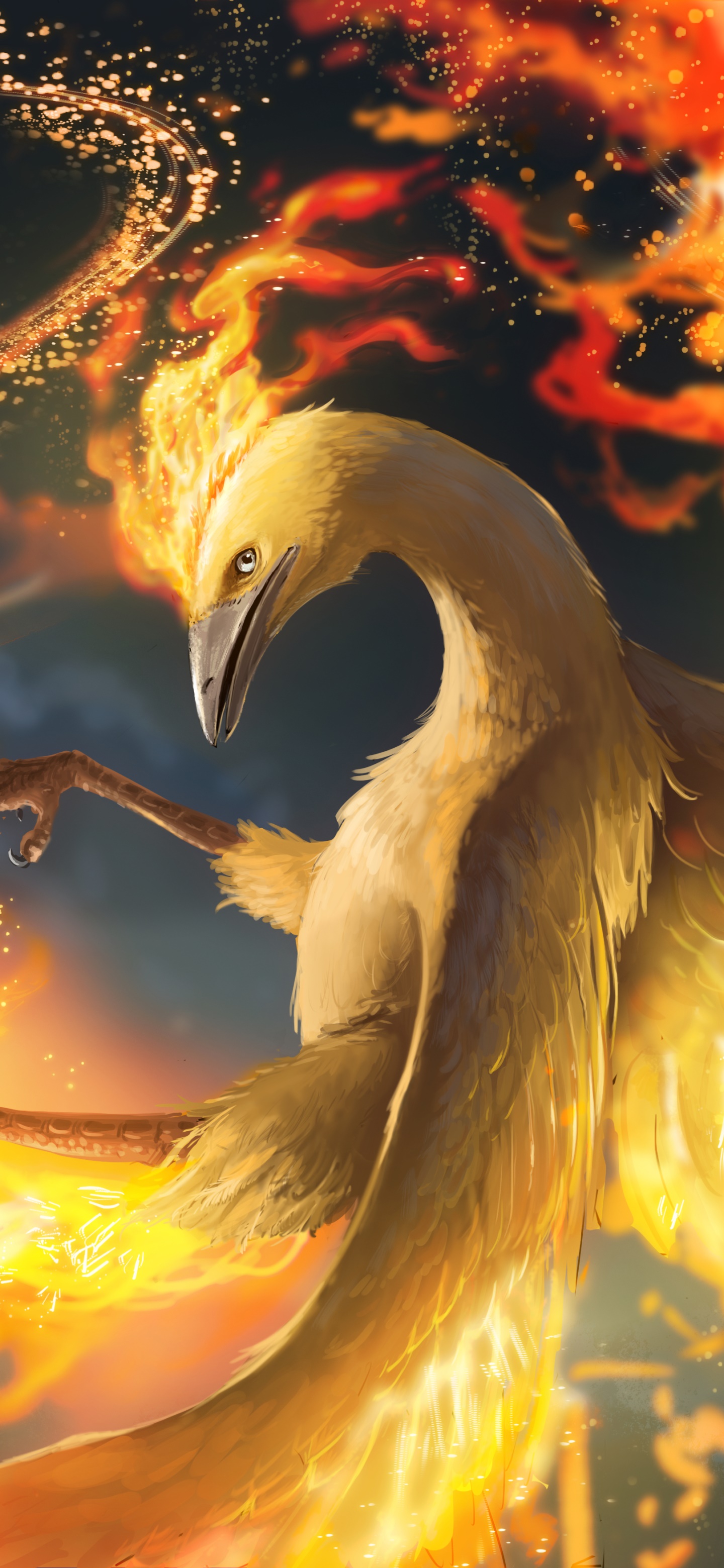 Anime Pokémon, Moltres (Pokémon), 1440x3120, Phone HD Wallpaper