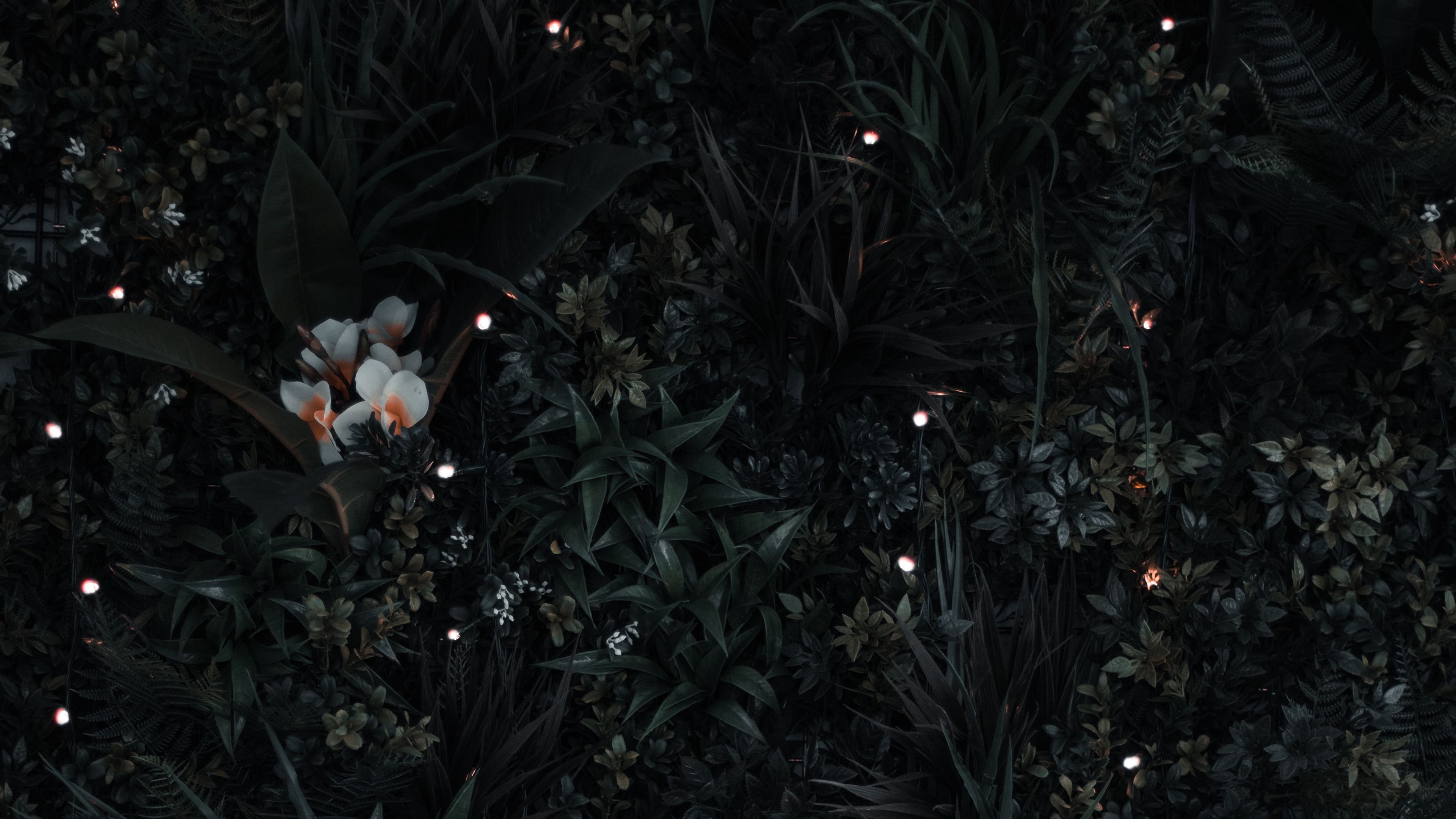 grass, flowers, leaves, aerial view, 4k, HD Wallpaper