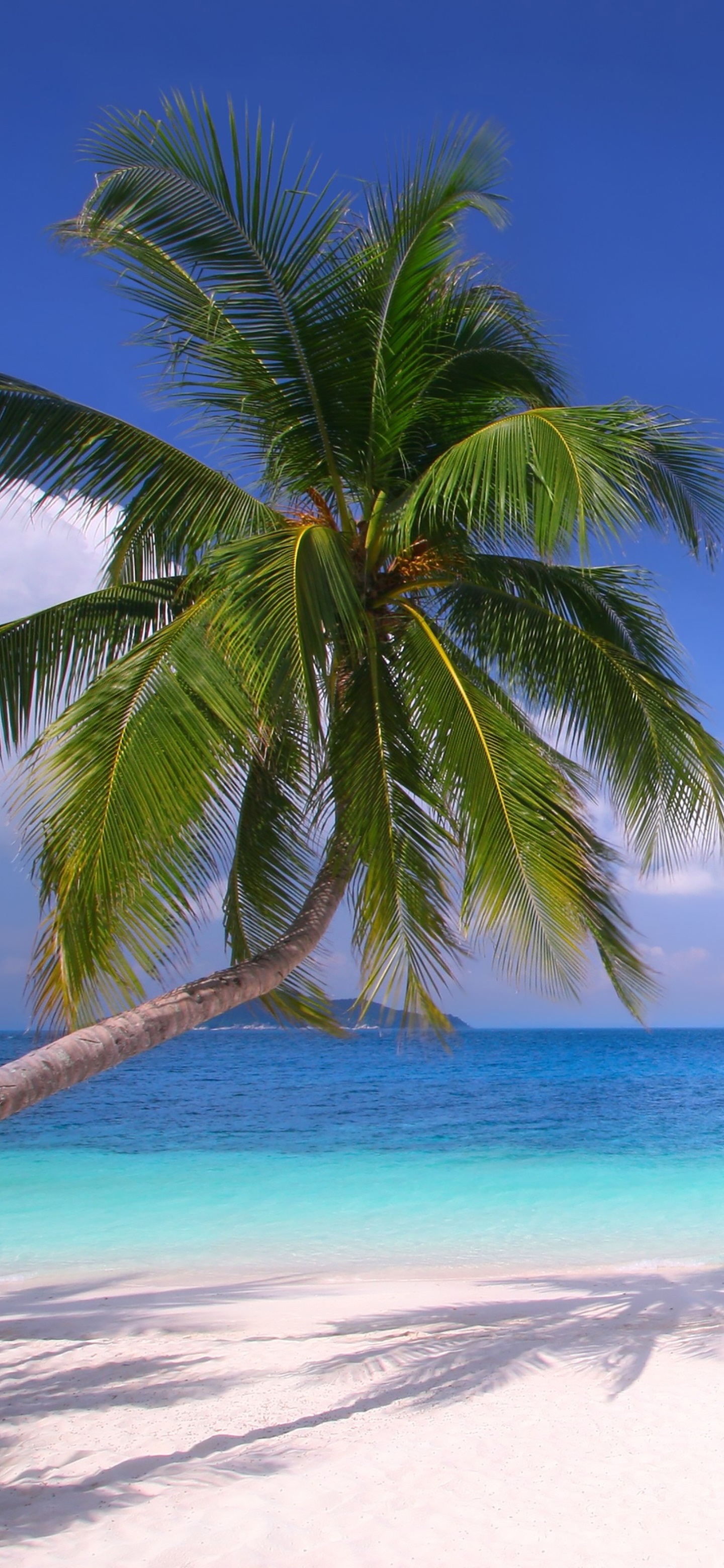 Earth Ocean, Tropical, Cloud, Horizon, Sky, 1440x3120, Phone HD Wallpaper