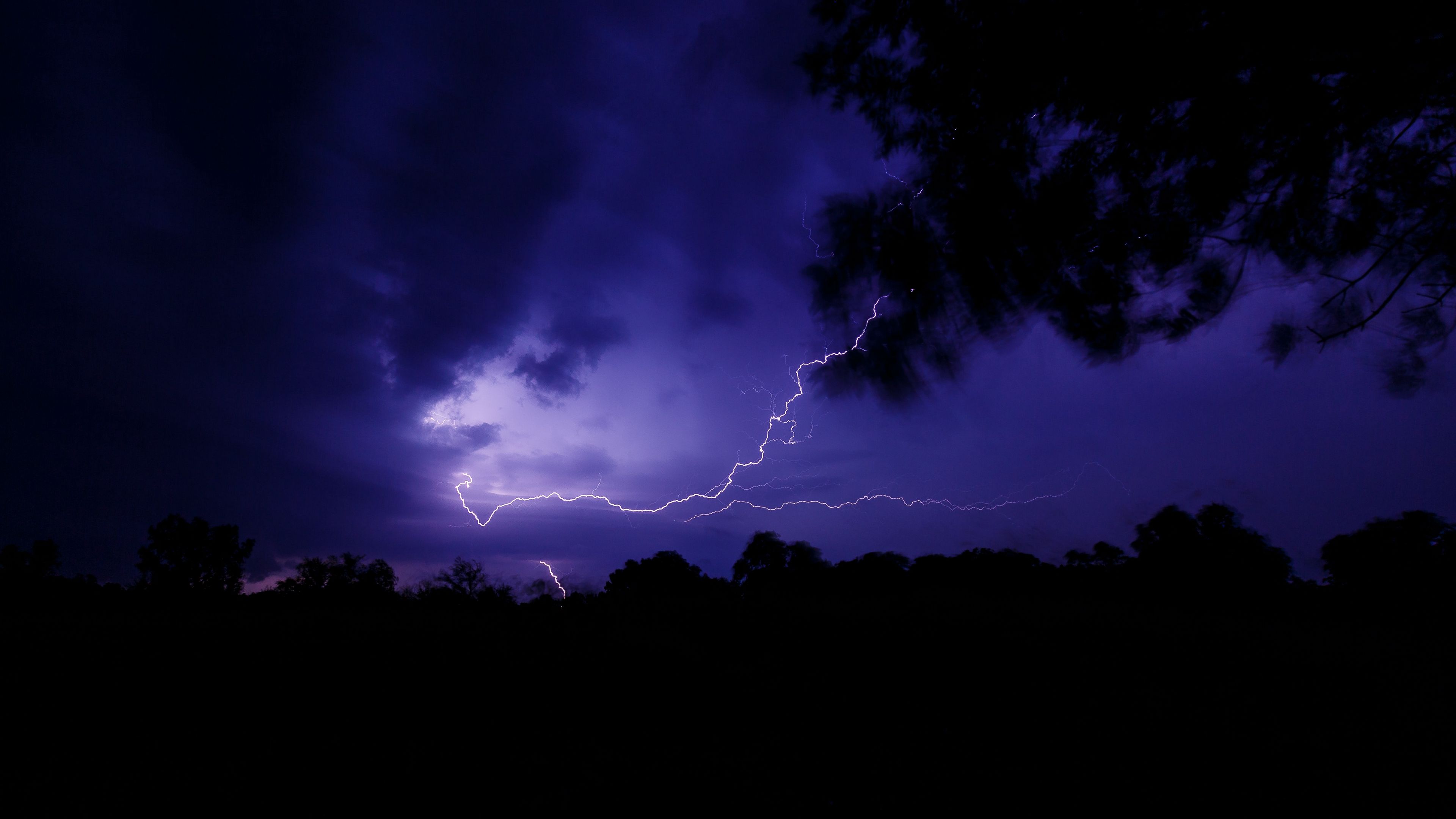 lightning, thunderstorm, branch, bushes, 4k, HD Wallpaper