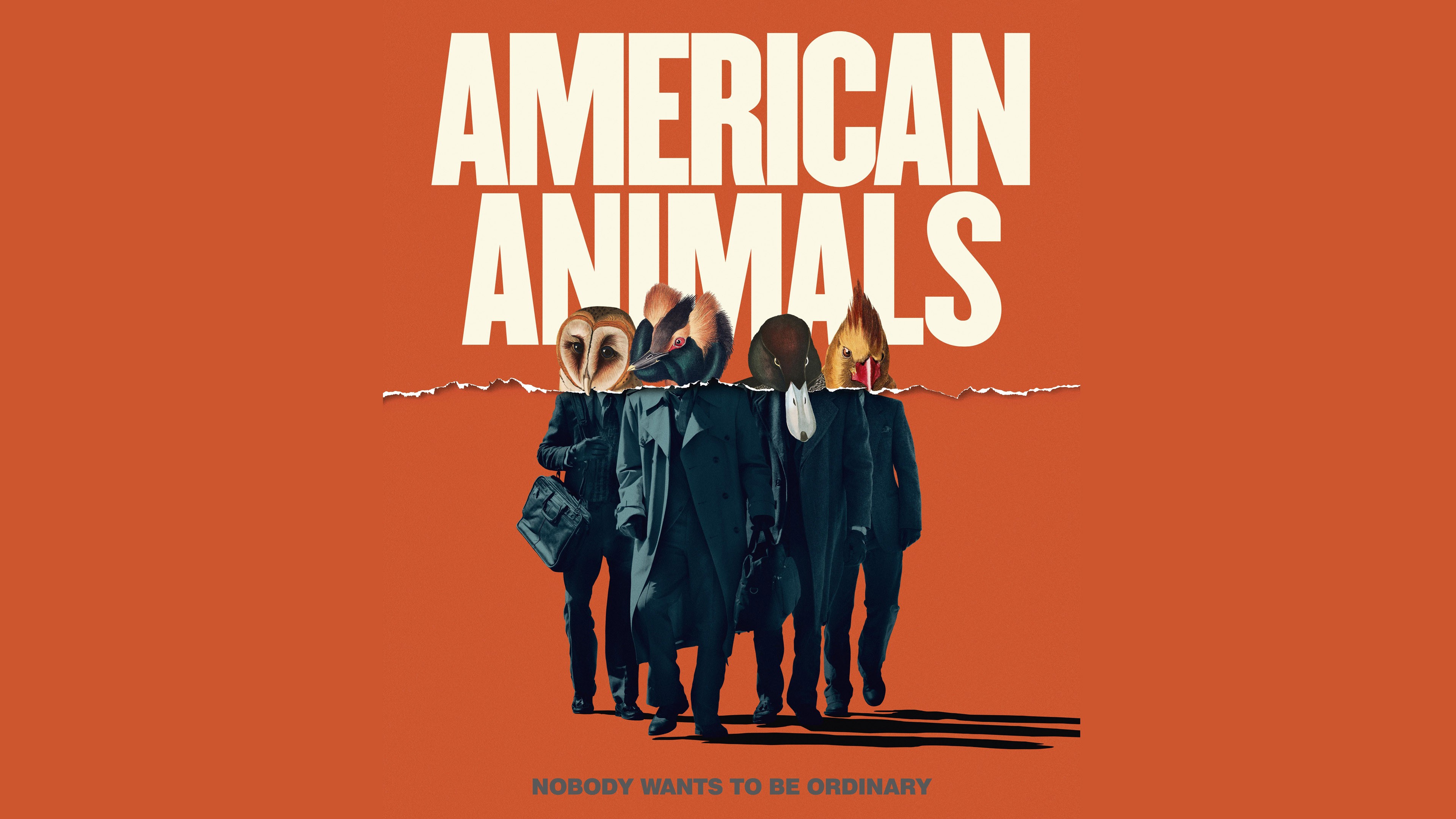 American Animals, Ann Dowd, Evan Peters, Barry Keoghan, 4K, HD Wallpaper