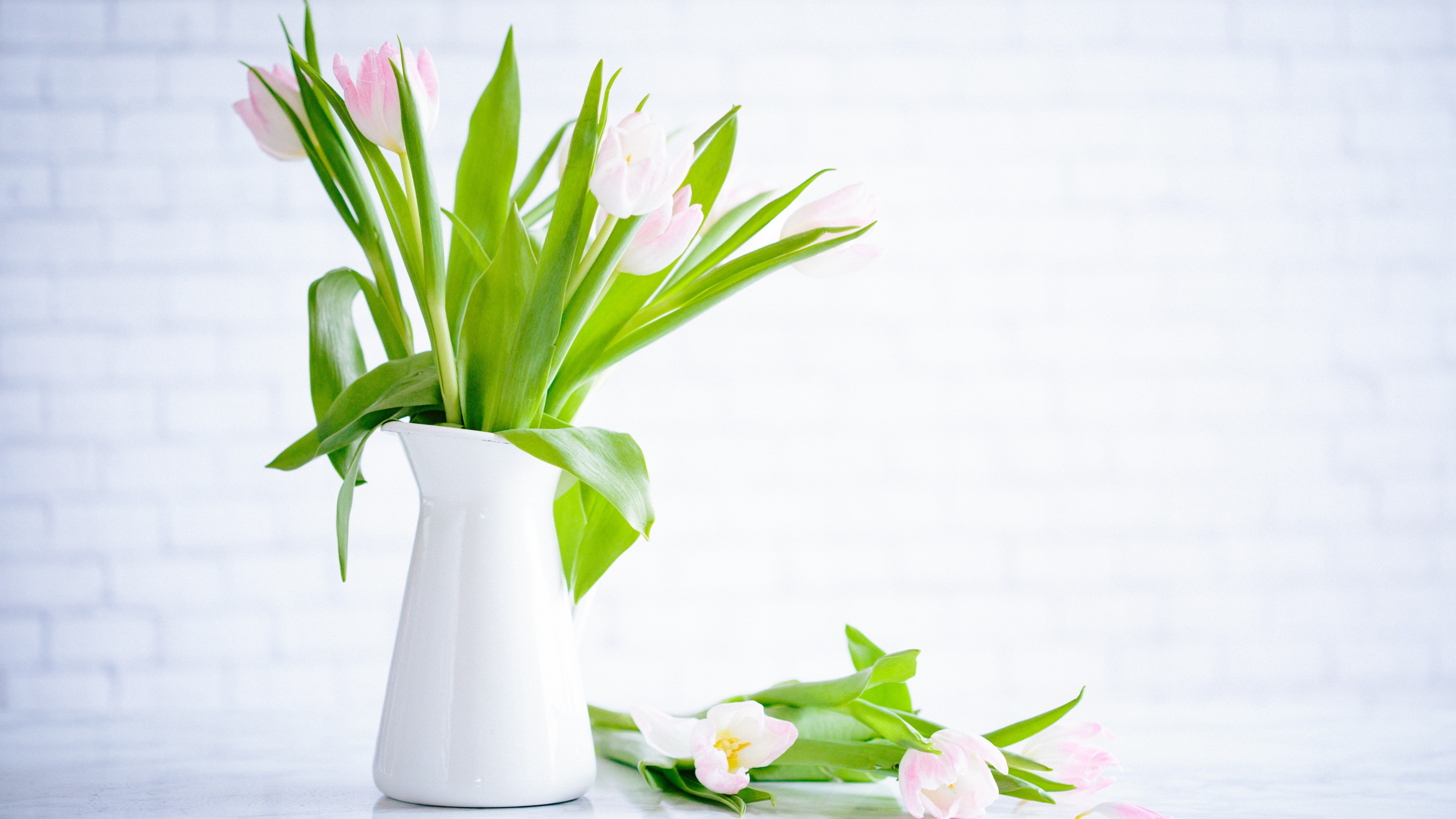 flowers, tulips, vase, 4K, HD Wallpaper