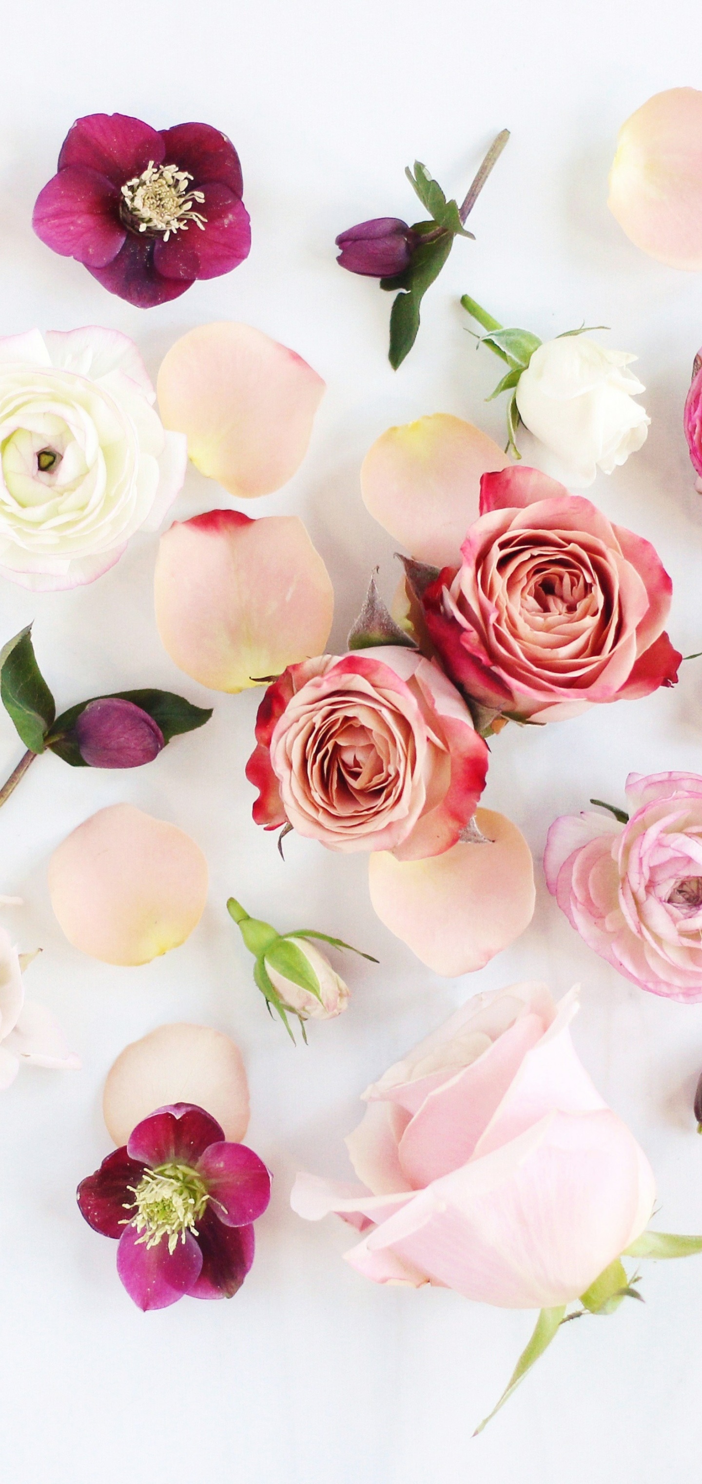 Artistic Flower, Peony, Rose, Anemone, Pink Flower, White Flower, 1440x3040, Phone HD Wallpaper