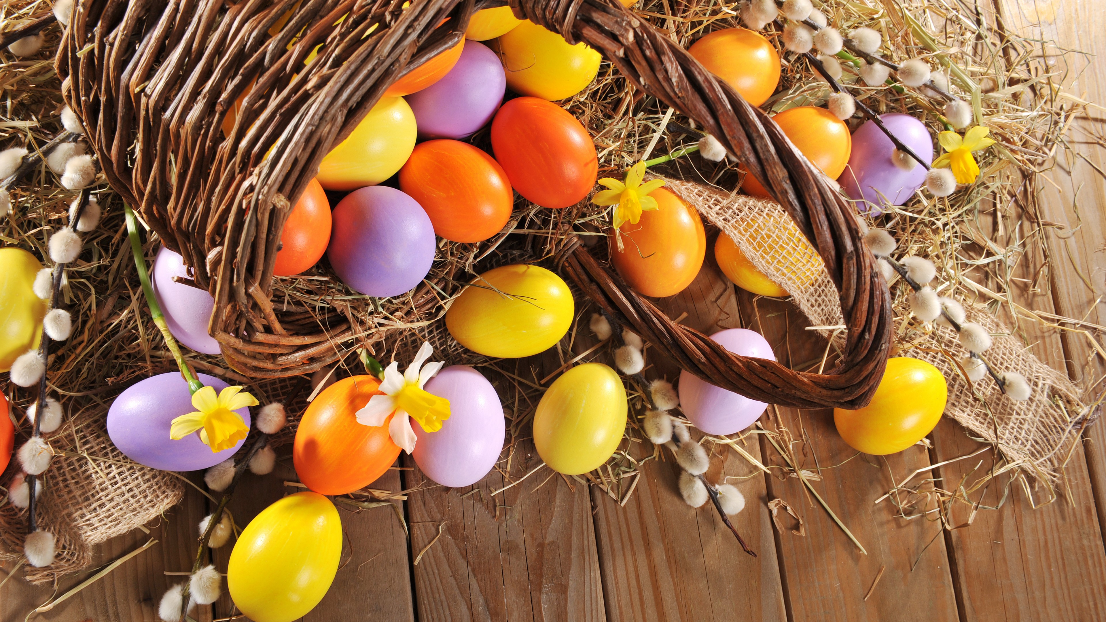 Easter, eggs, 4k, HD Wallpaper