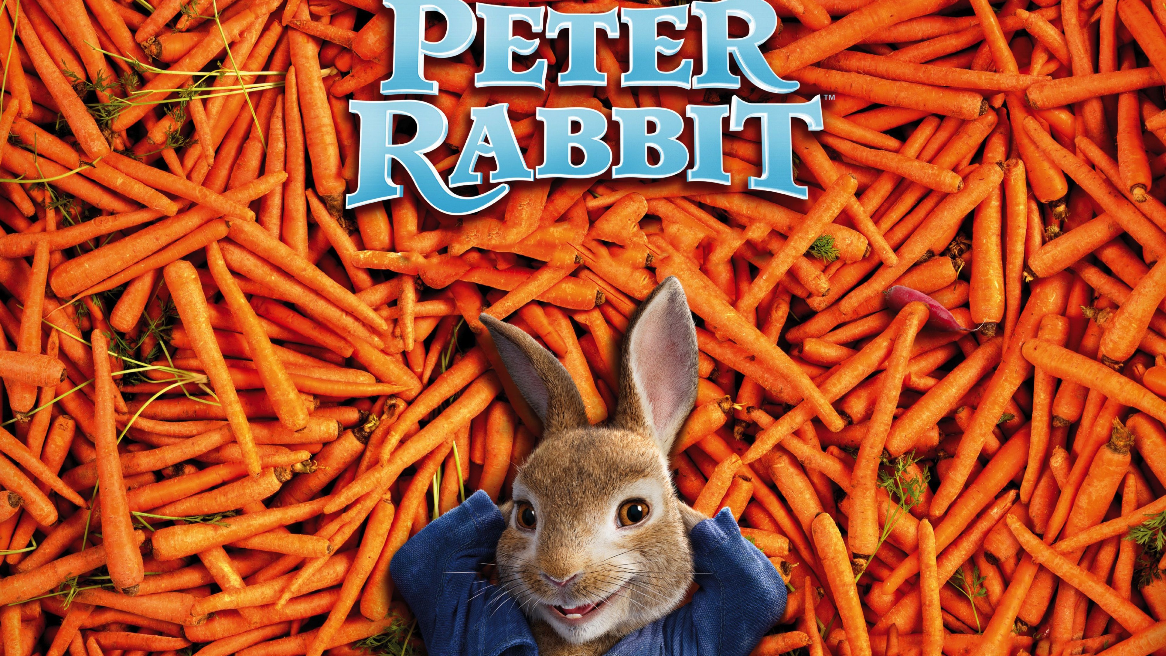 Peter Rabbit, carrot, 4k, HD Wallpaper