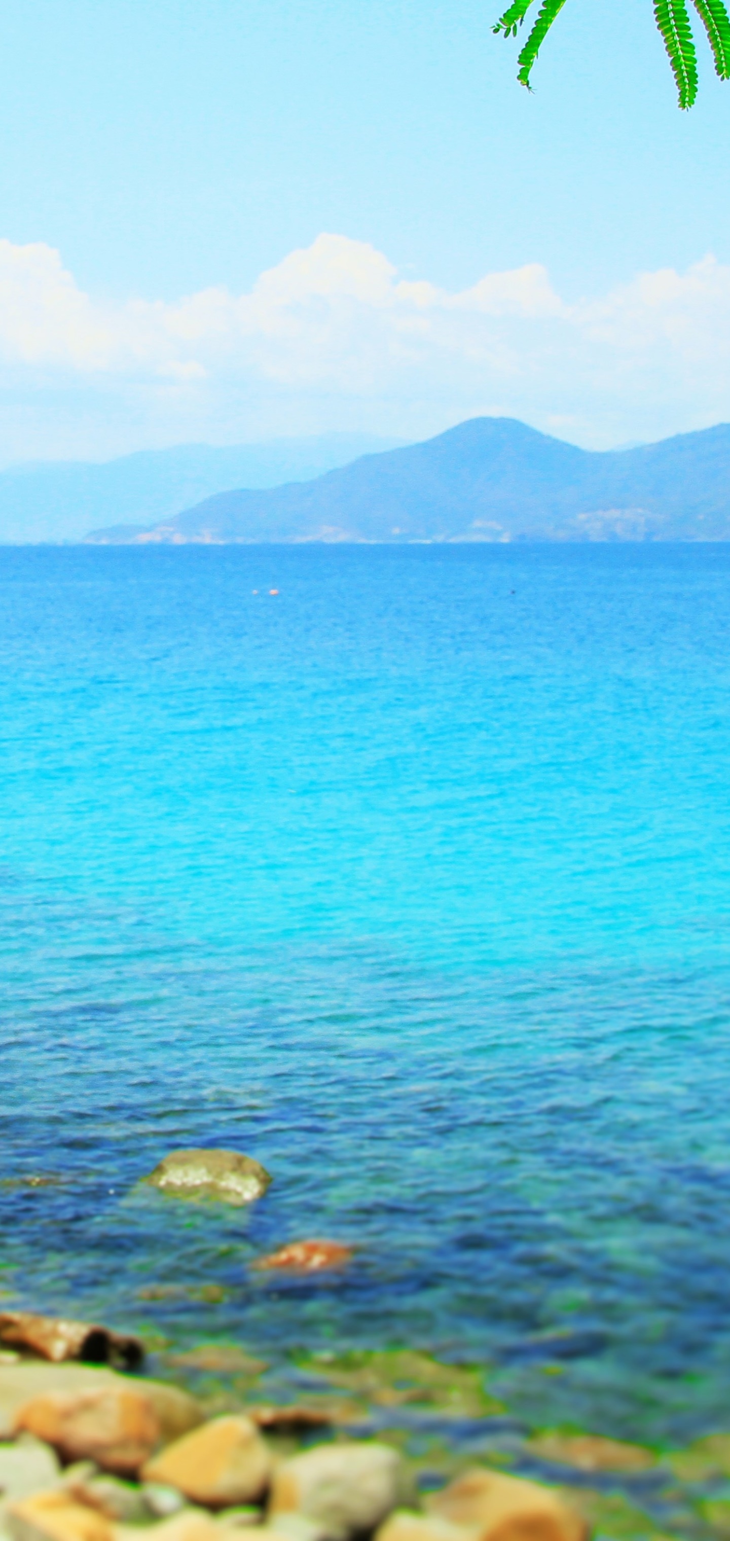 Earth Ocean, Blue, Tree, 1440x3040, Phone HD Wallpaper