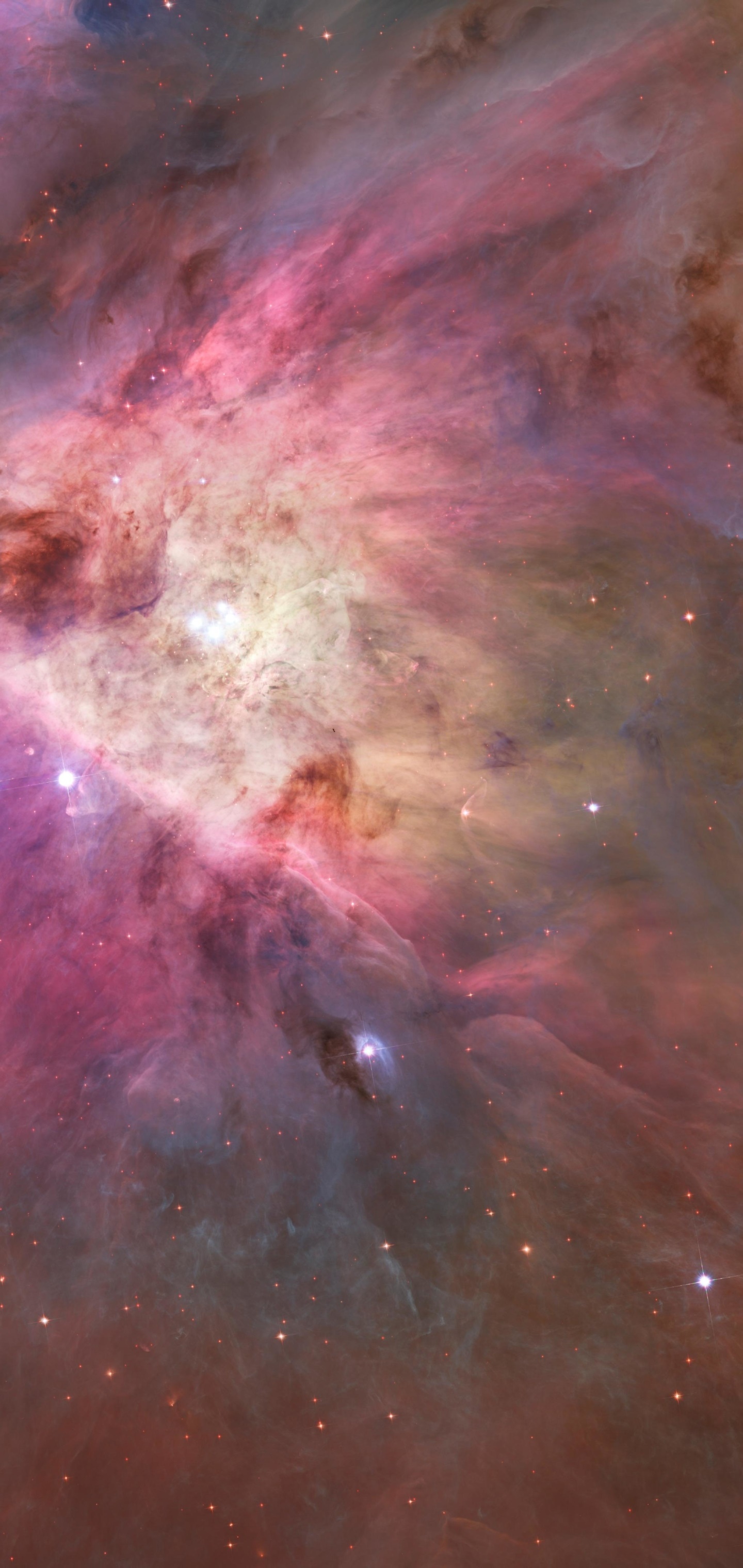 Sci Fi Nebula, Orion Nebula, 1440x3040, Phone HD Wallpaper