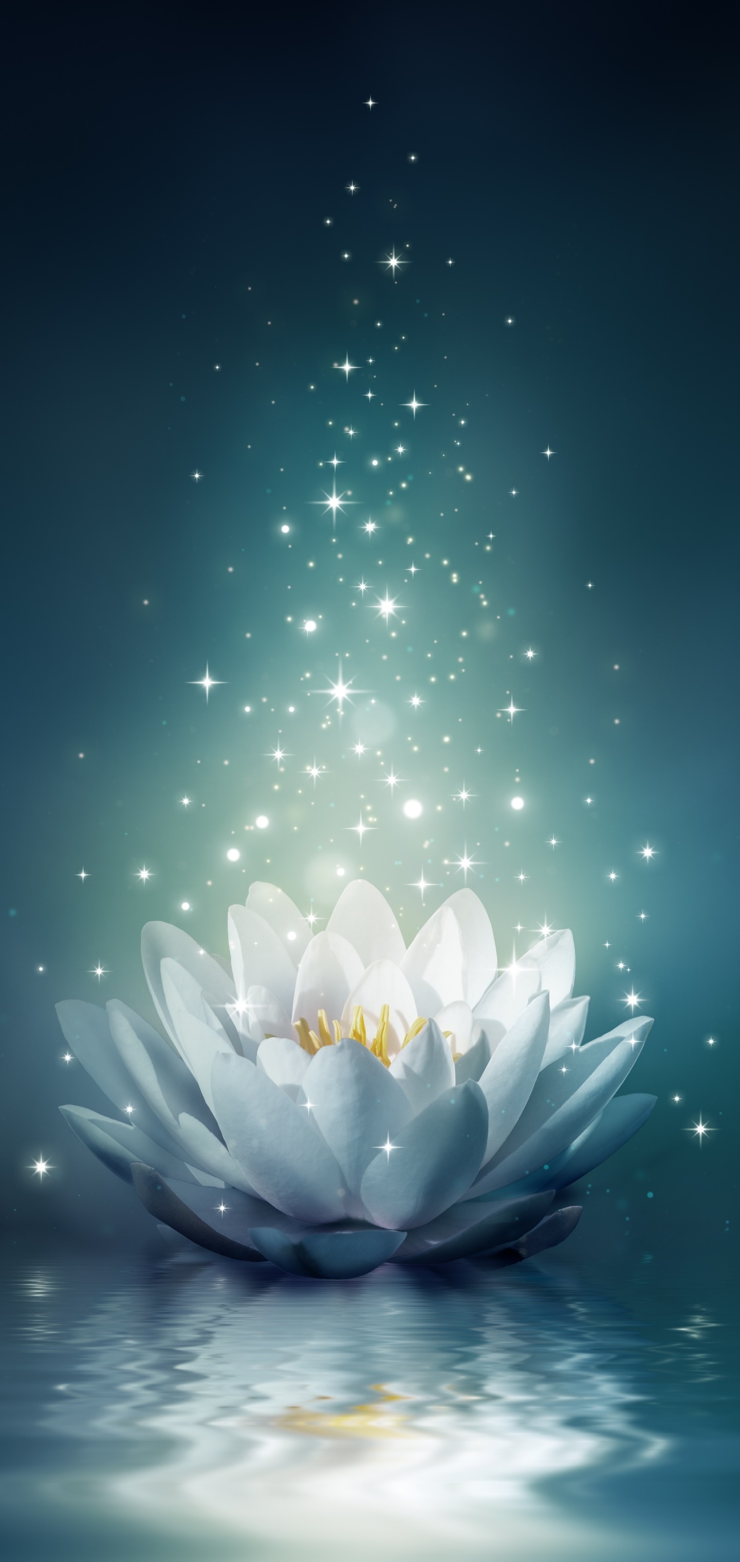 Artistic Flower, Water, Light, Water Lily, 1440x3040, Phone HD Wallpaper