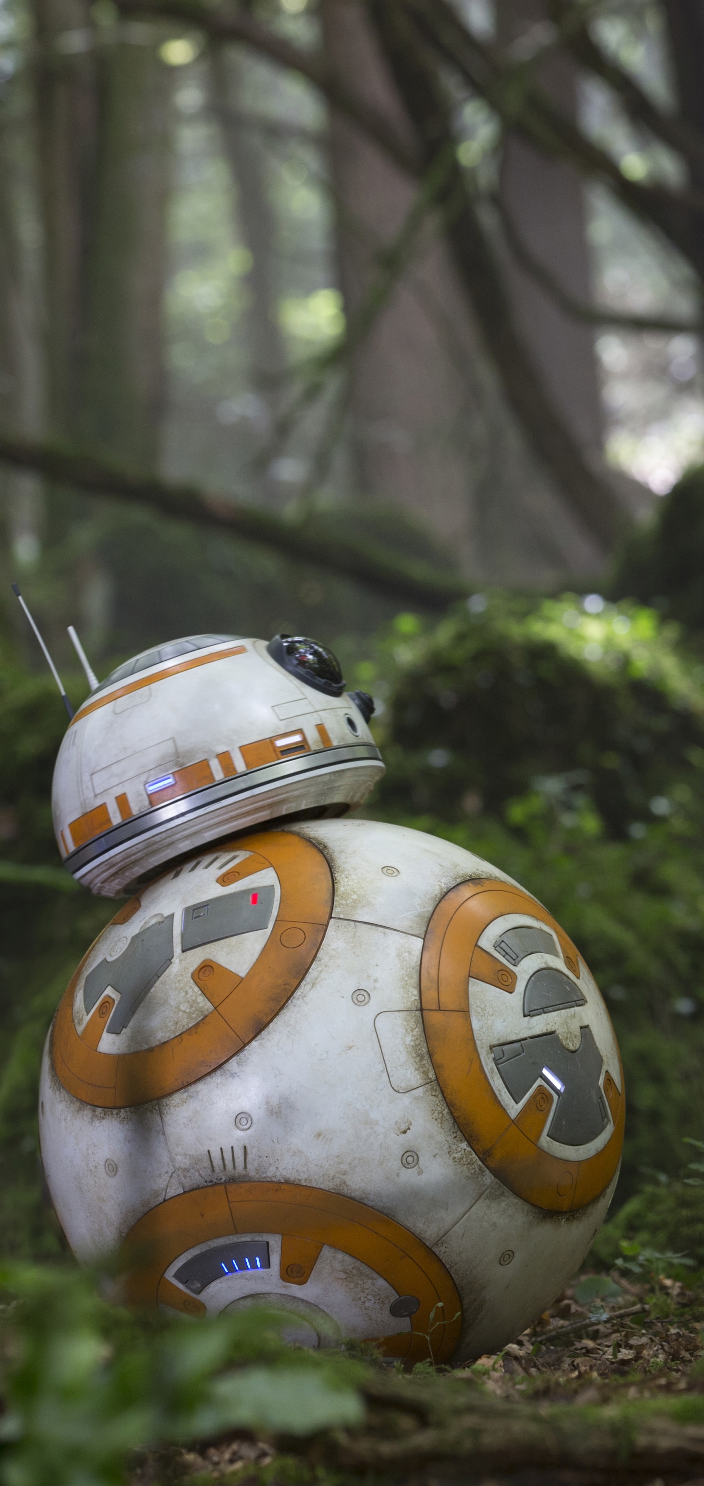 Movie Star Wars Episode VII: The Force Awakens, BB-8, Star Wars, Rey (Star Wars), 1440x3040, Phone HD Wallpaper