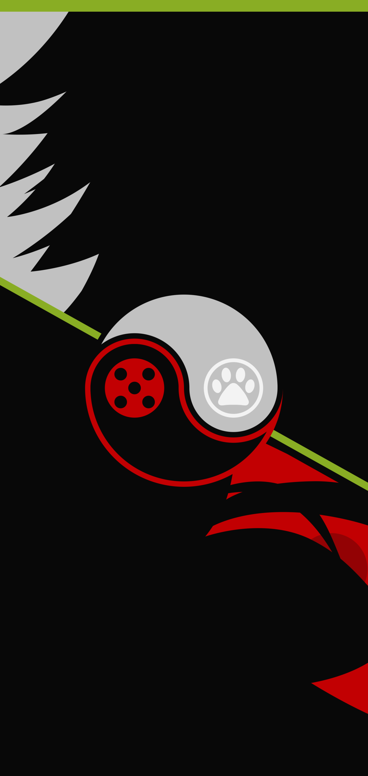 TV Show Miraculous Ladybug, Ladybug (Miraculous Ladybug), Cat Noir (Miraculous Ladybug), 1440x3040, Phone HD Wallpaper