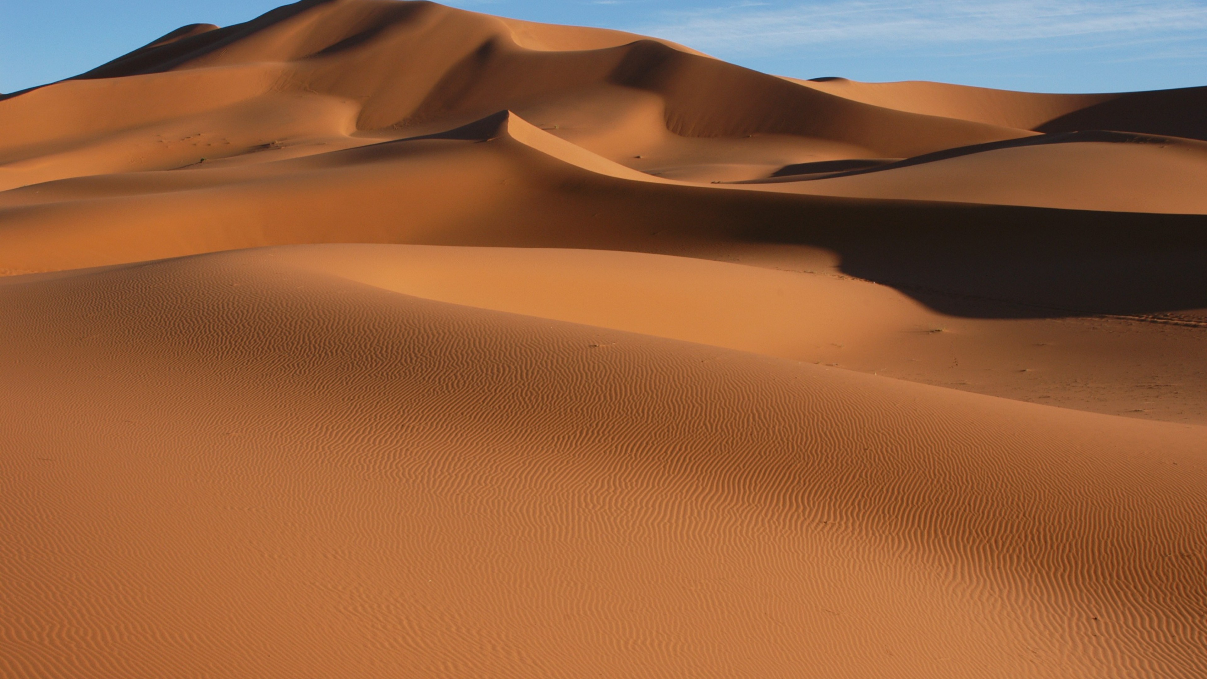 desert, sand, 4k, HD Wallpaper