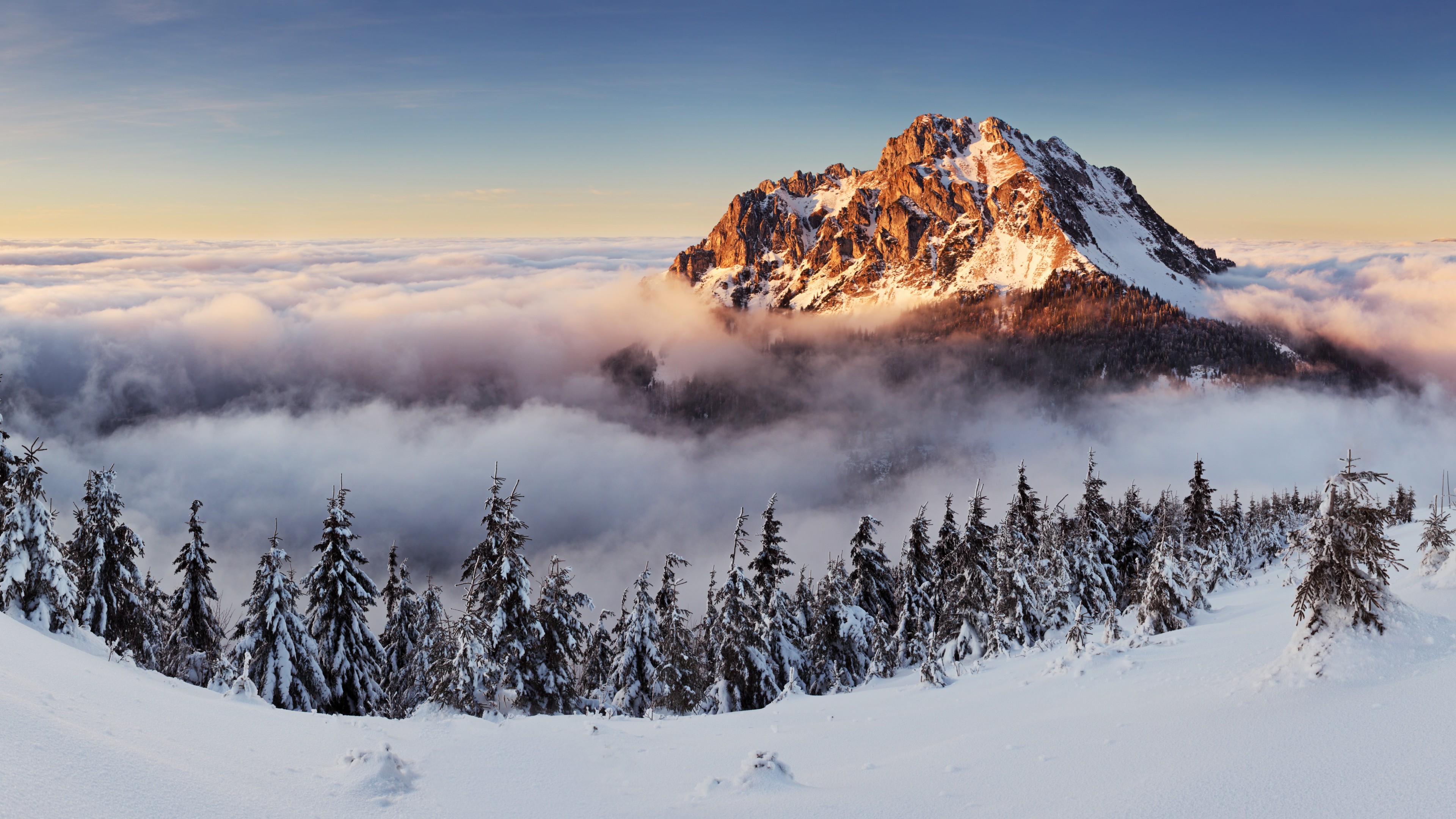 mountains, forest, snow, winter, fog, 4K, HD Wallpaper