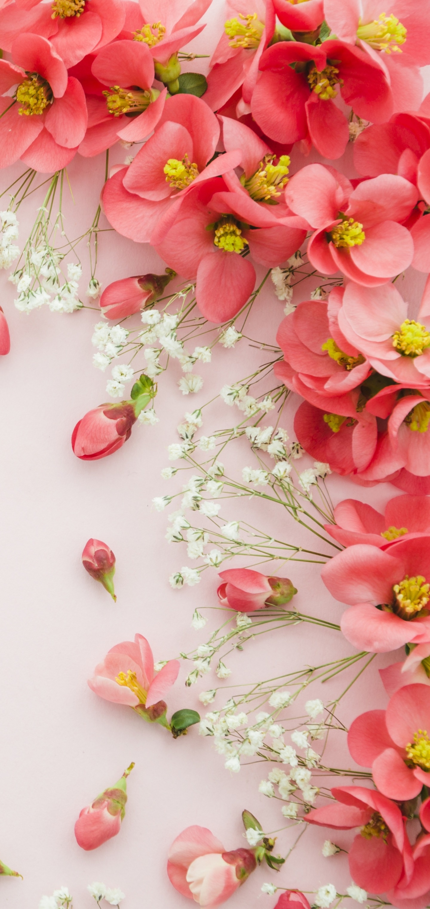 Man Made Flower, Still Life, Pink Flower, 1440x3040, Phone HD Wallpaper
