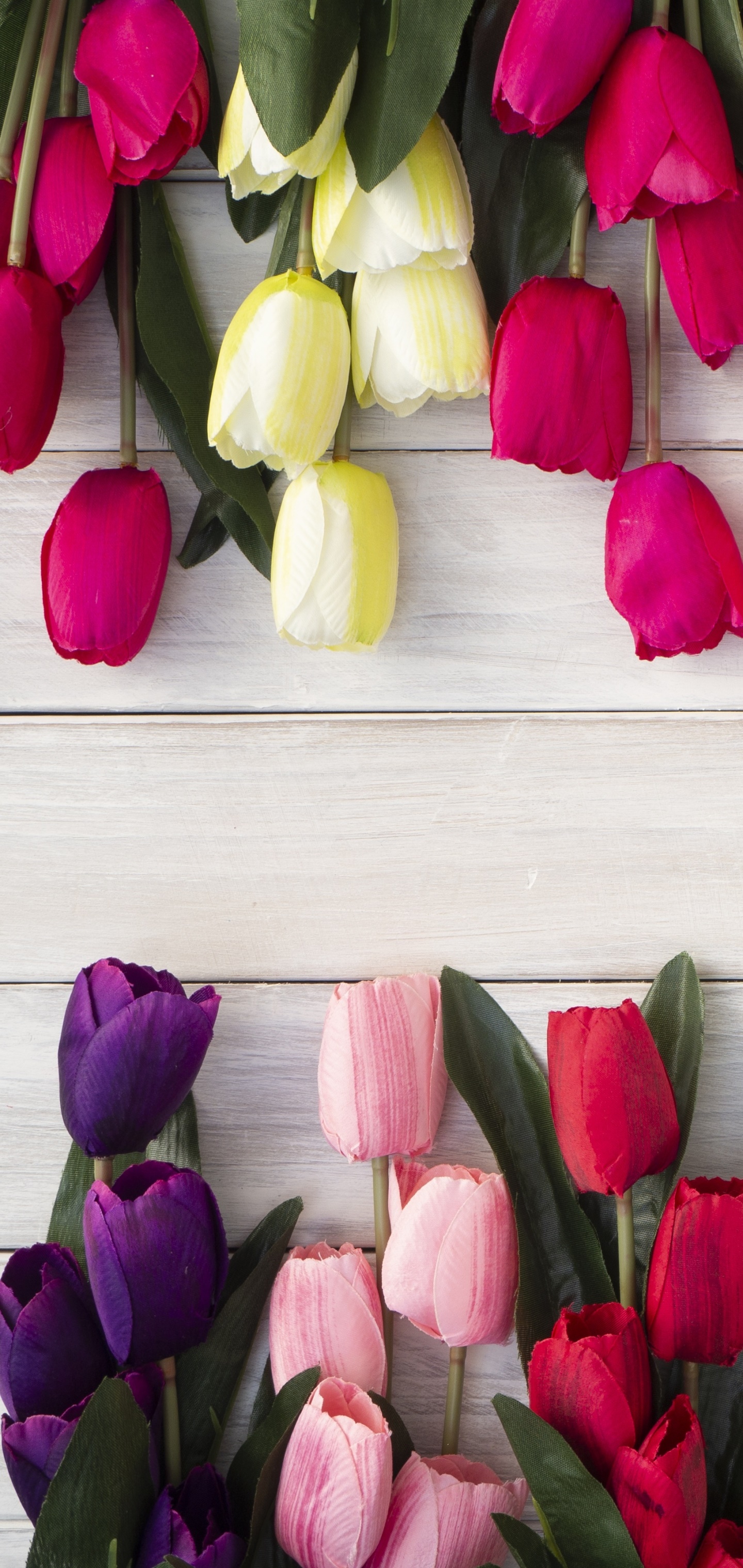 Man Made Flower, Pink Flower, Red Flower, Tulip, Purple Flower, 1440x3040, Phone HD Wallpaper