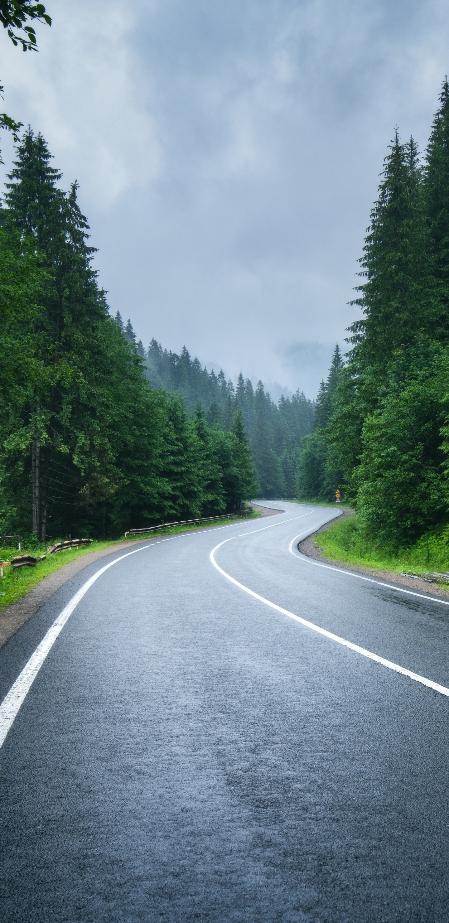 Man Made Road, 1440x2960, Phone HD Wallpaper