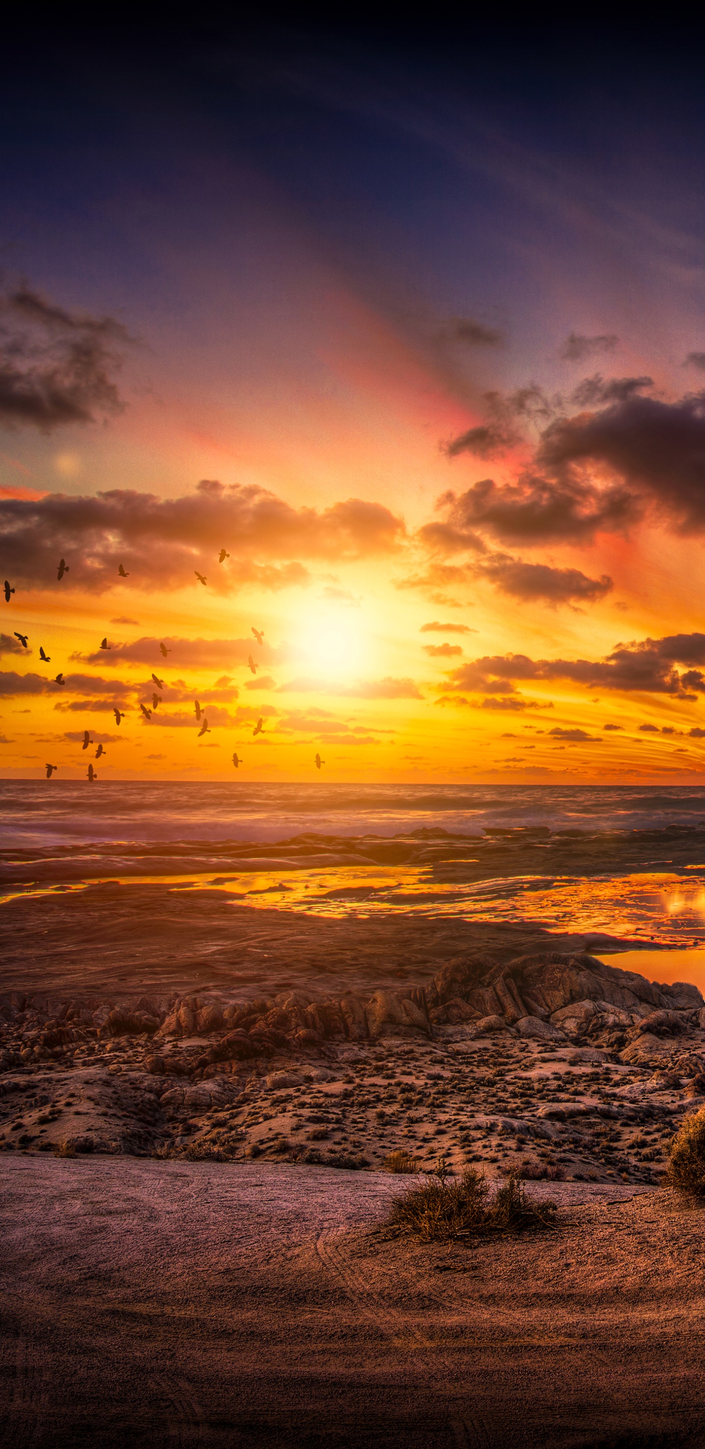 Earth Sunset, Ocean, Horizon, Sun, Sea, Sky, 1440x2960, Phone HD Wallpaper
