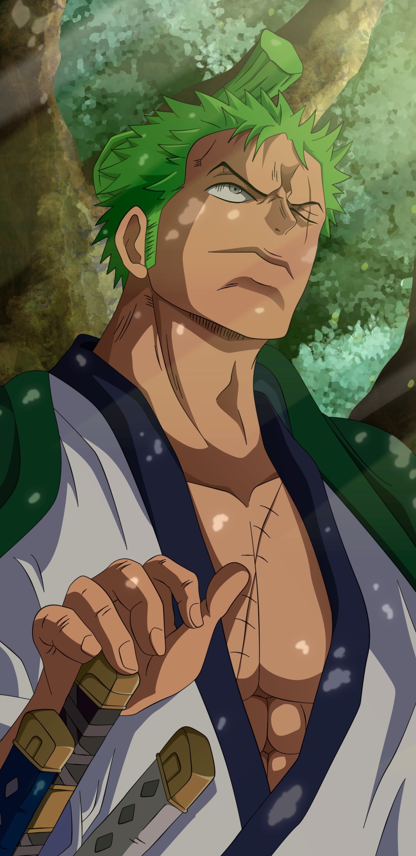 Anime One Piece, Roronoa Zoro, 1440x2960, Phone HD Wallpaper
