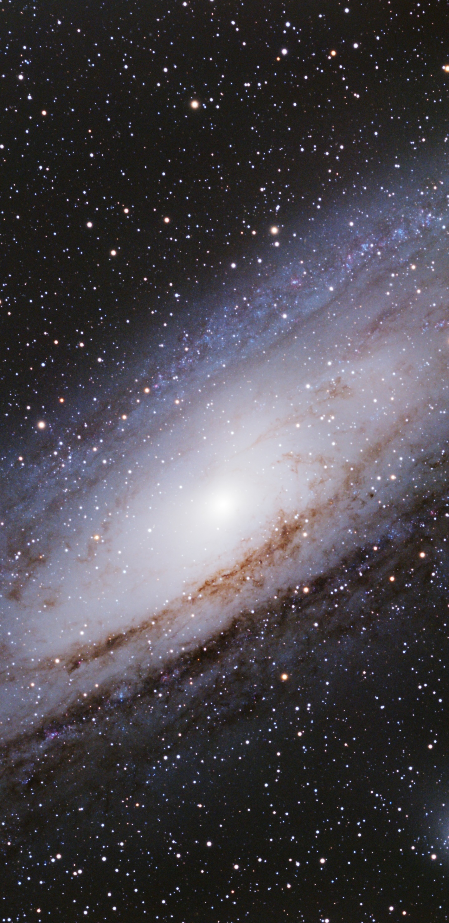 Sci Fi Galaxy, Space, Stars, 1440x2960, Phone HD Wallpaper