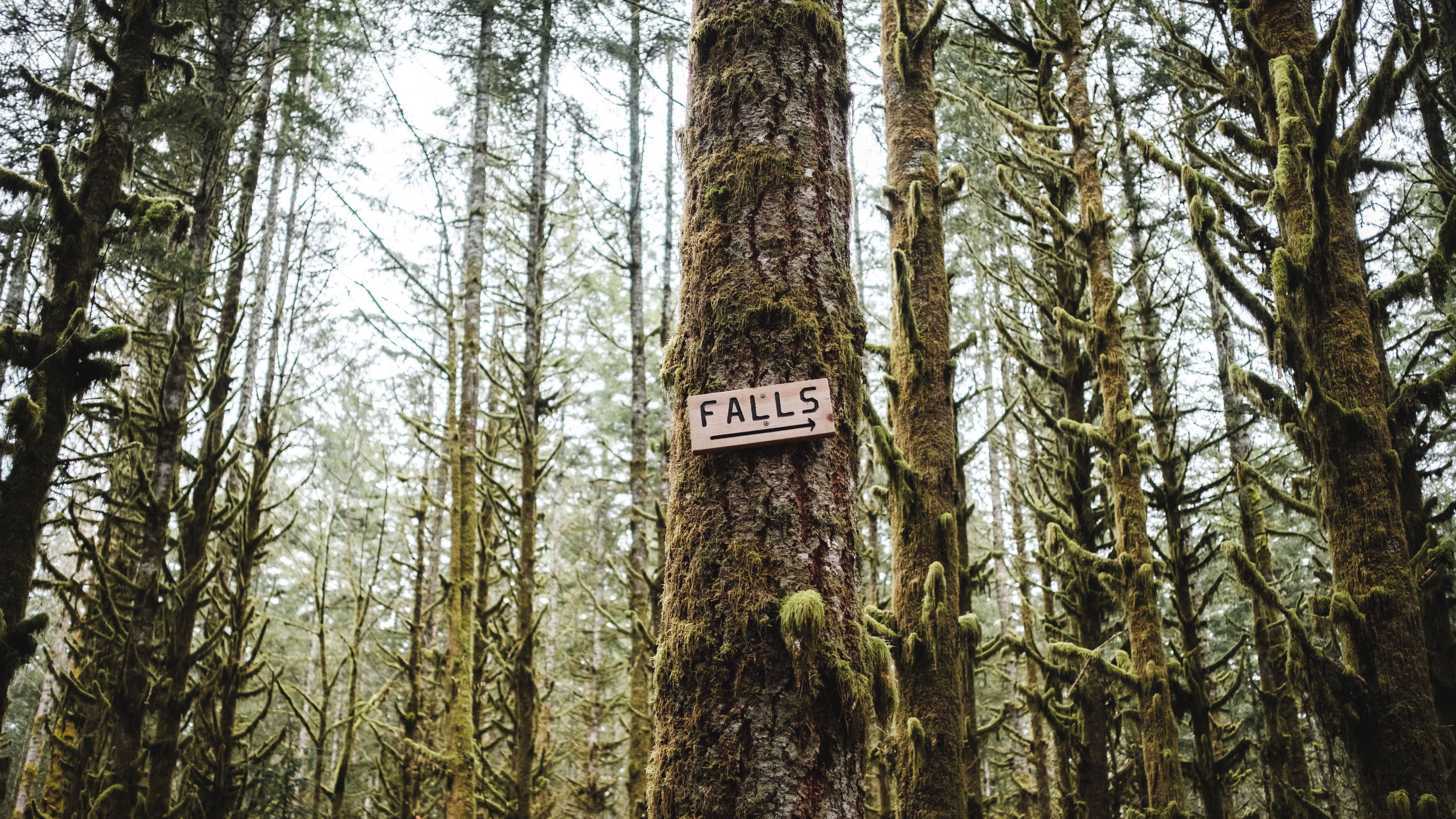 words, inscription, pointer, tree, 4k, HD Wallpaper