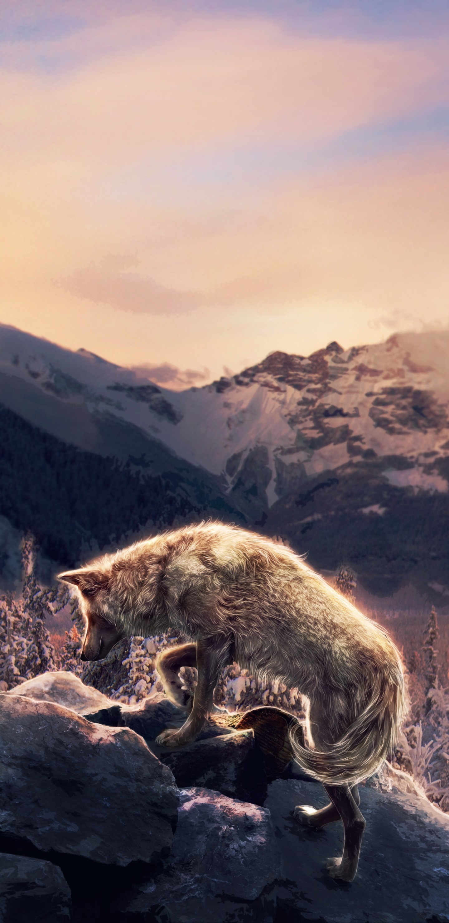 Fantasy Wolf, Nature, Winter, Landscape, Mountain, 1440x2960, Phone HD Wallpaper