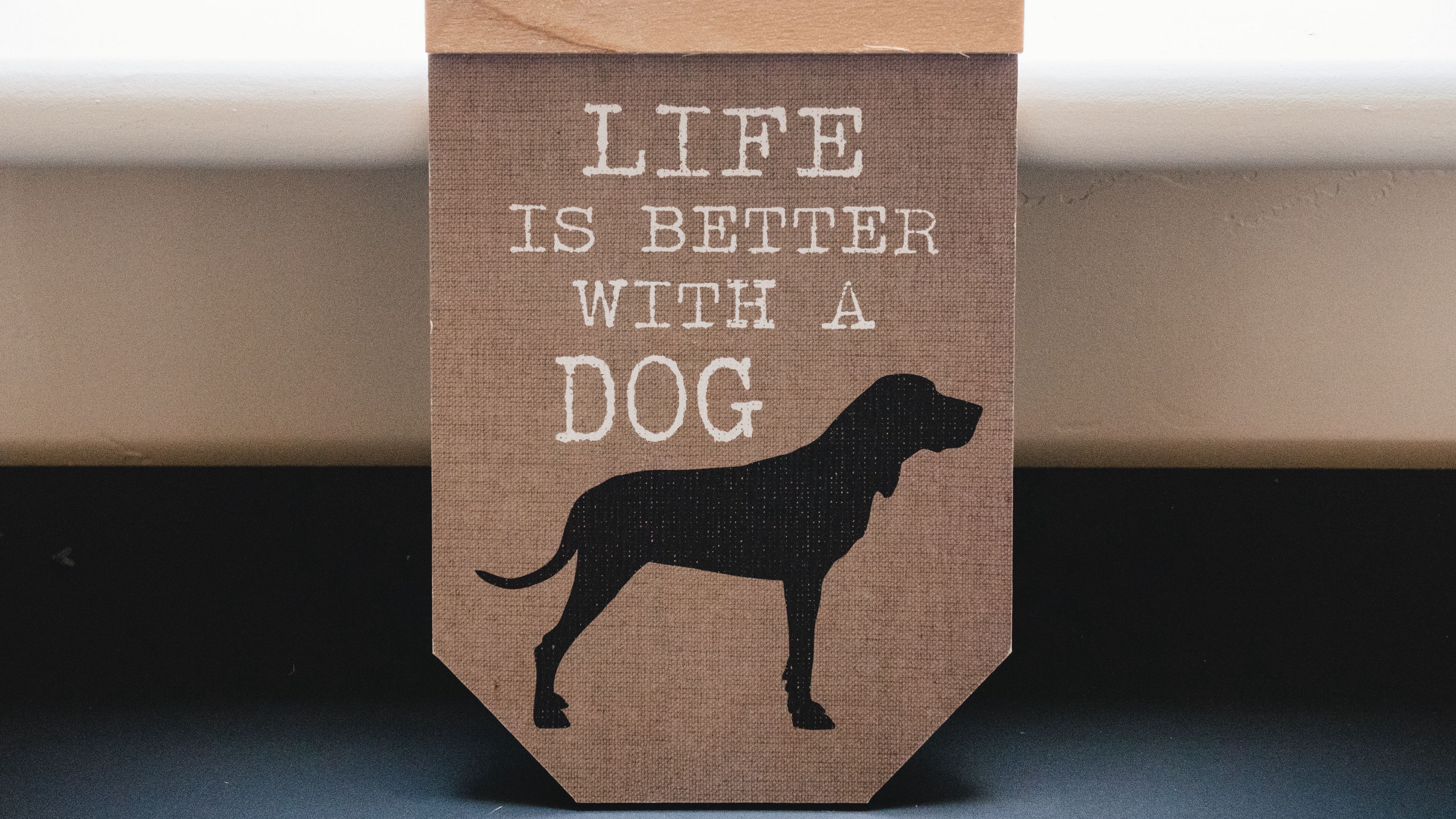 words, inscription, dog, phrase, 4k, HD Wallpaper