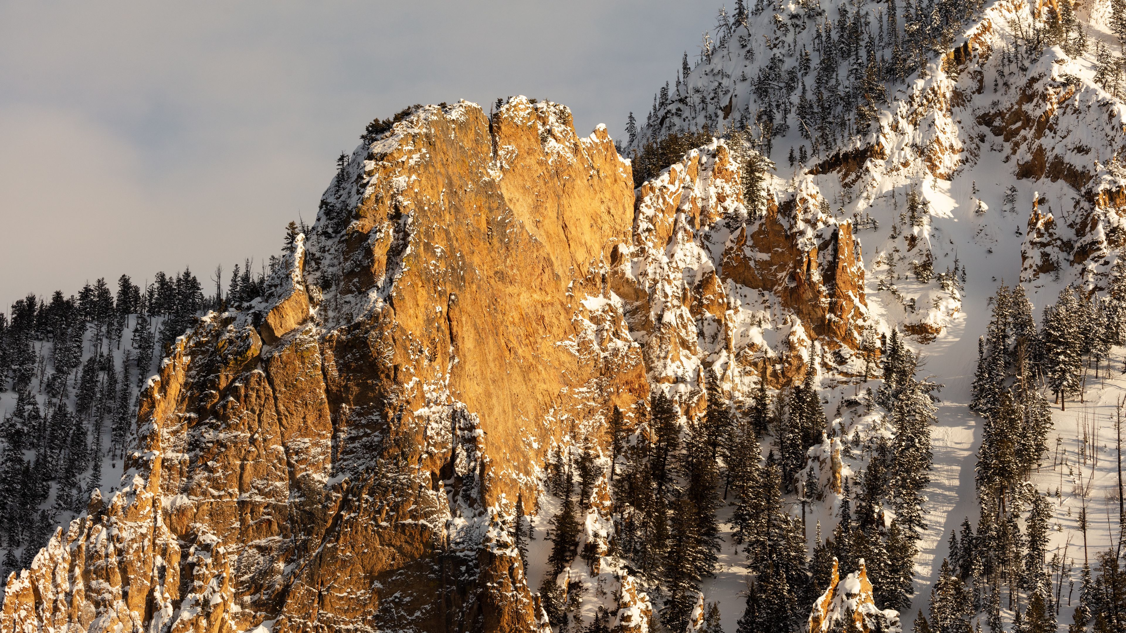 mountains, snow, forest, rocks, 4k, HD Wallpaper