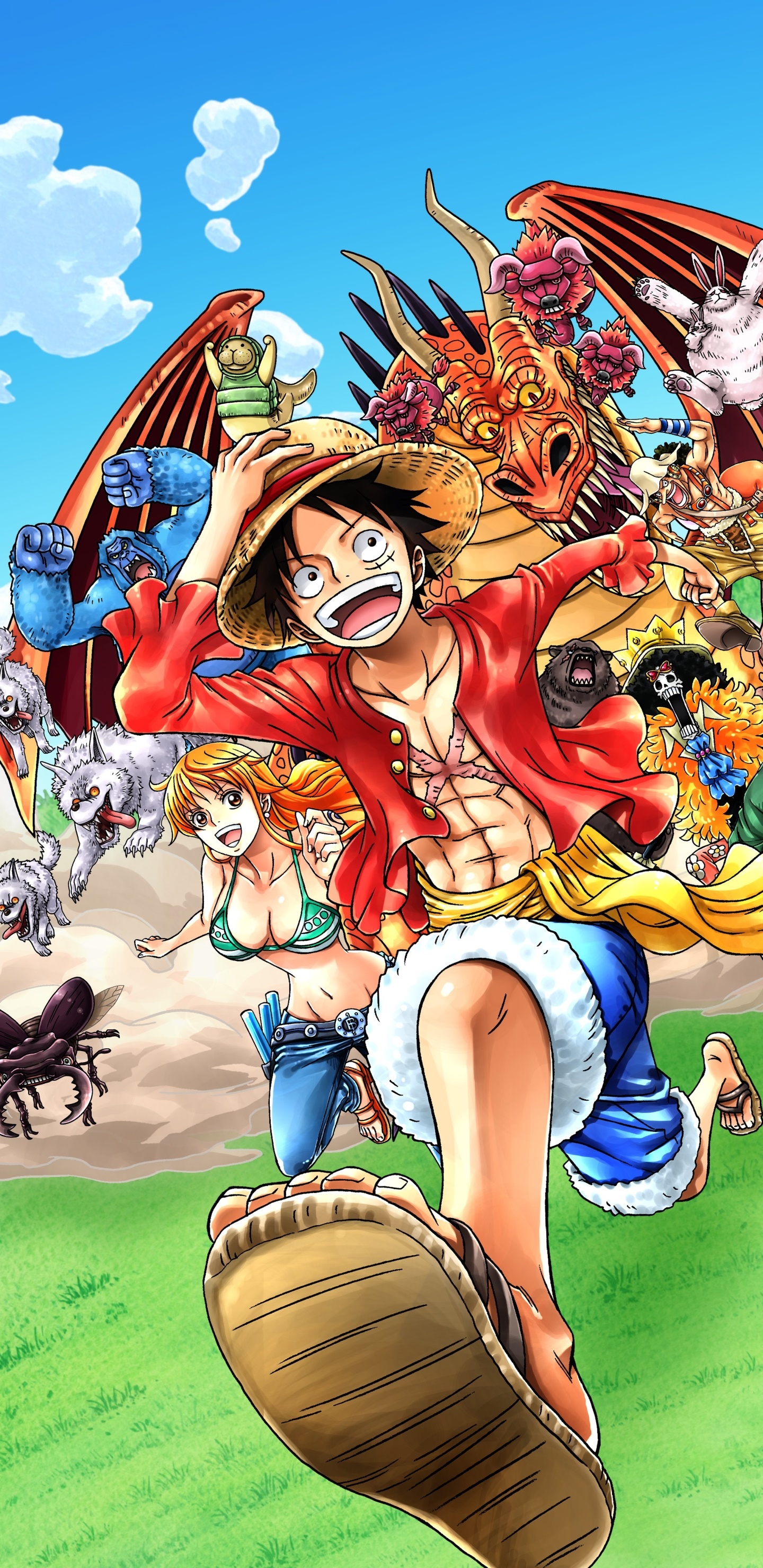 Anime One Piece, Monkey D. Luffy, 1440x2960, Phone HD Wallpaper