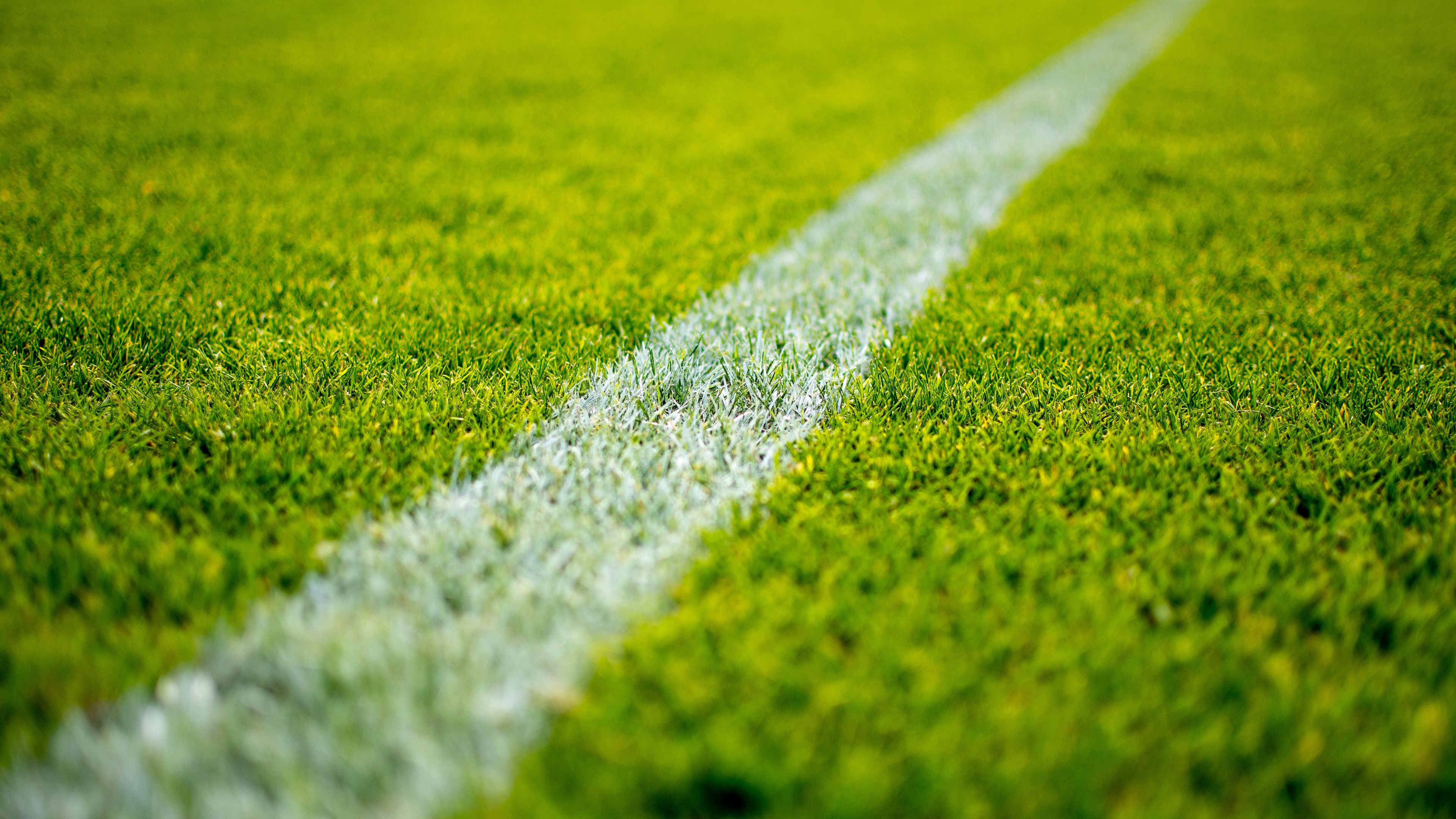 field, grass, stadium, marking, 4k, HD Wallpaper