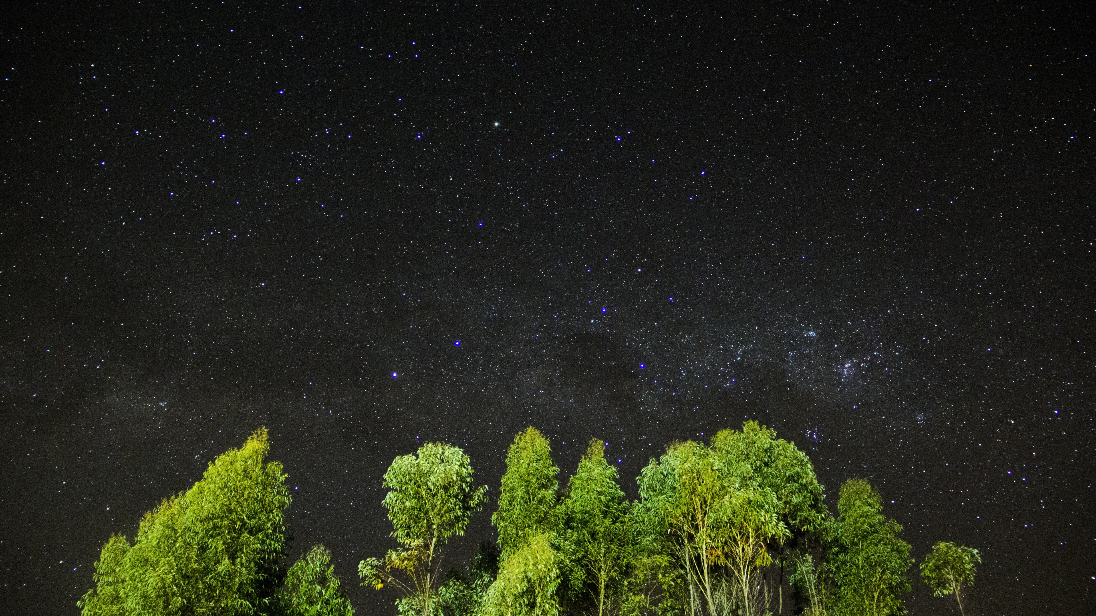 night, stars, sky, trees, 4k, HD Wallpaper