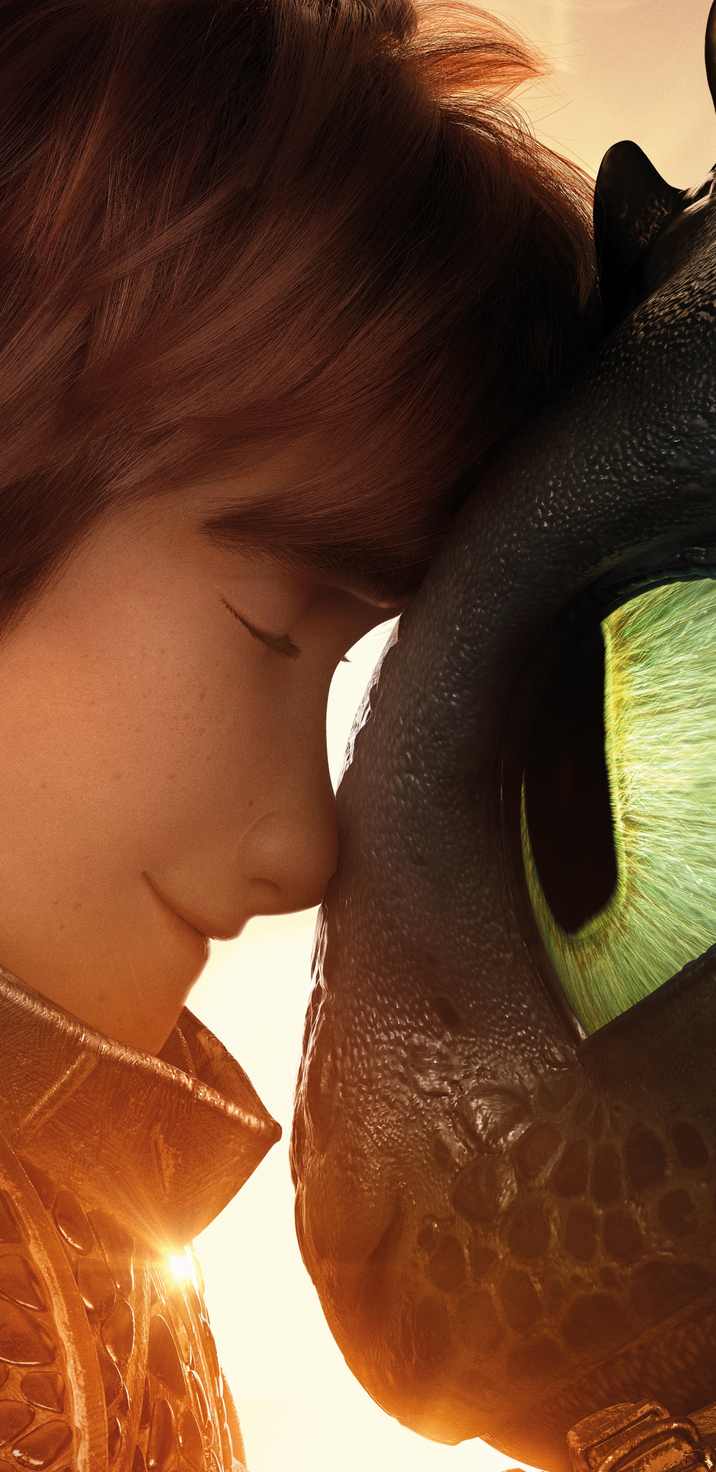 Movie How to Train Your Dragon: The Hidden World, Hiccup (How To Train Your Dragon), Toothless (How To Train Your Dragon), 1440x2960, Phone HD Wallpaper