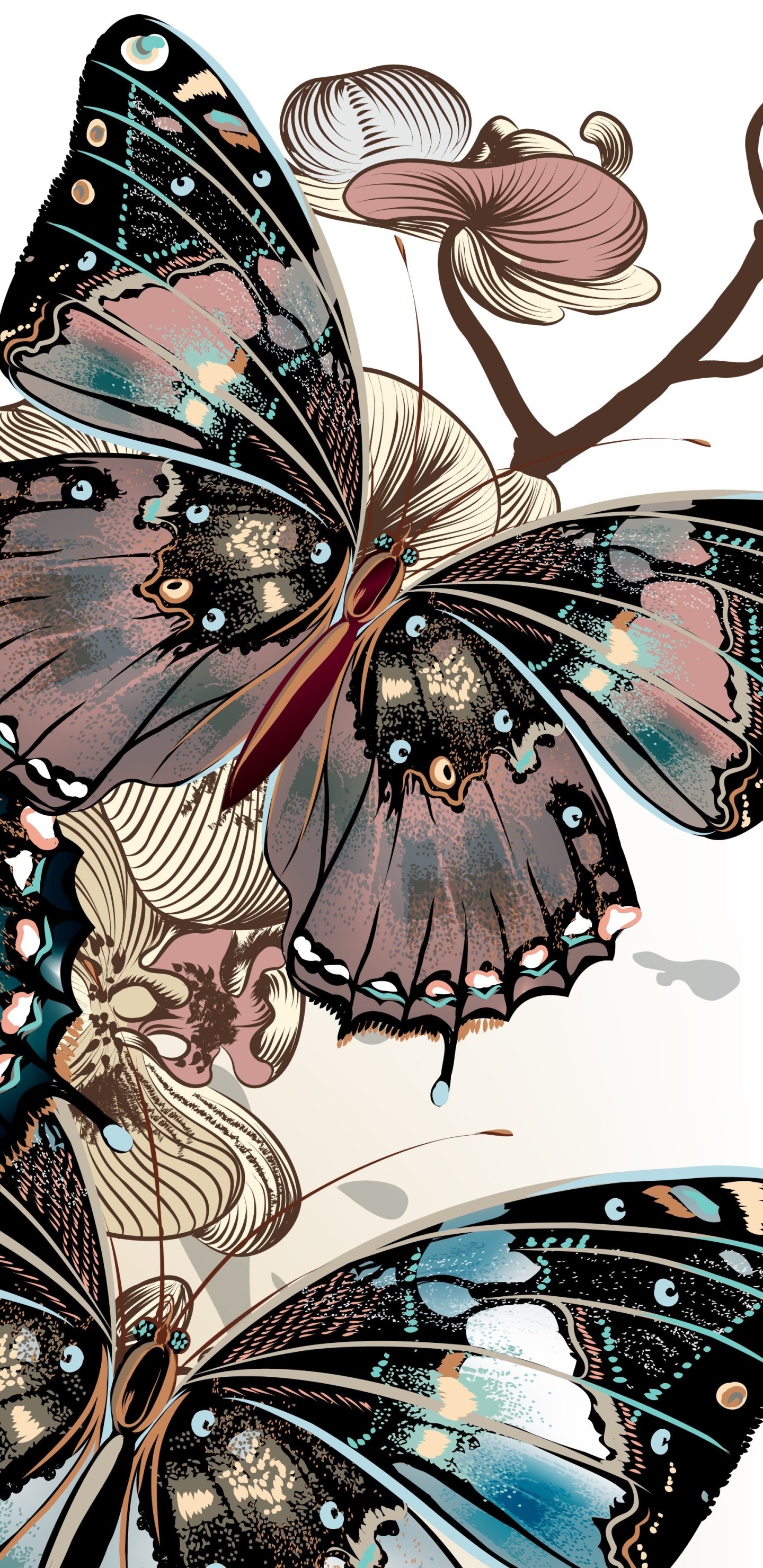 Animal Butterfly, 1440x2960, Phone HD Wallpaper
