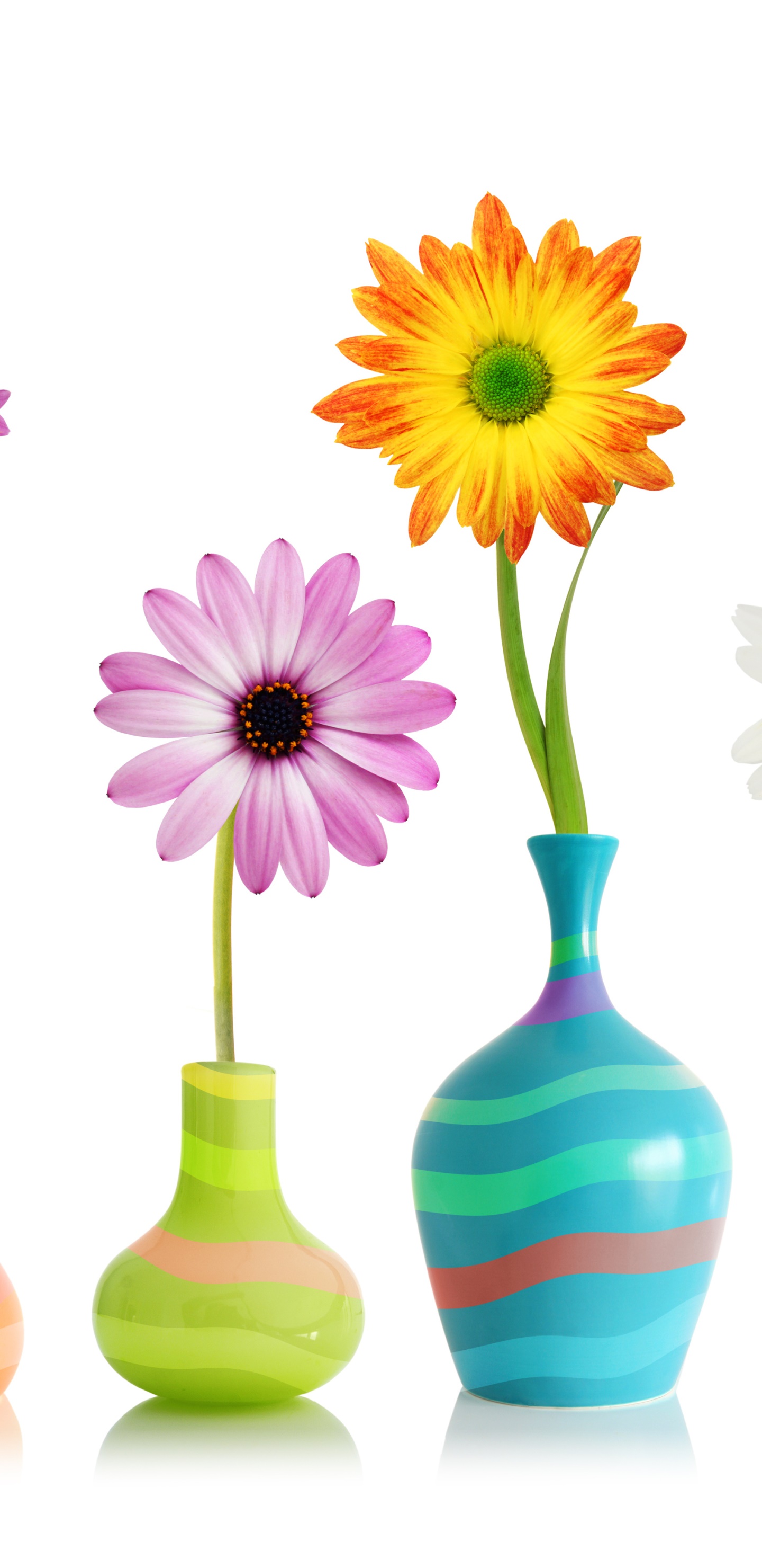 Man Made Flower, Vase, Yellow Flower, Pink Flower, 1440x2960, Phone HD Wallpaper