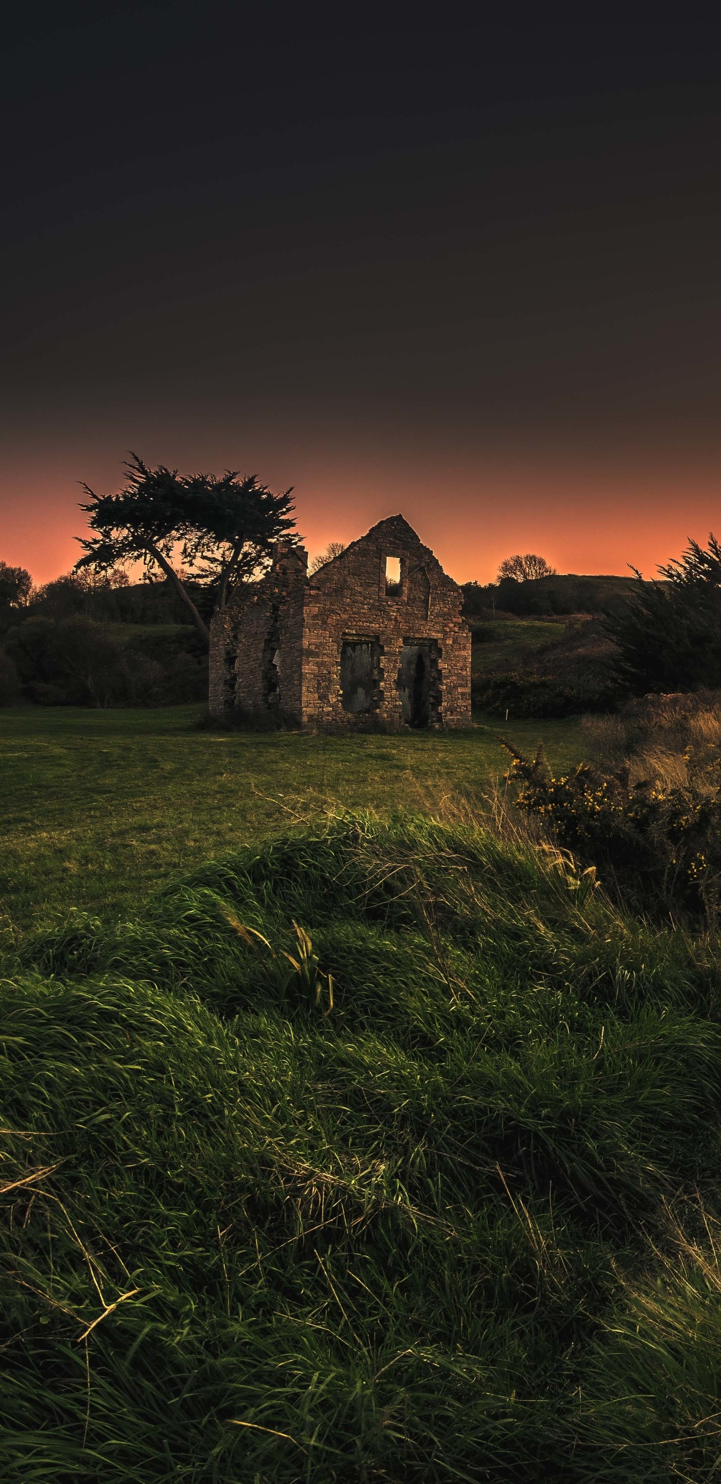 Photography Sunset, Sun, Tree, Ruin, Earth, 1440x2960, Phone HD Wallpaper