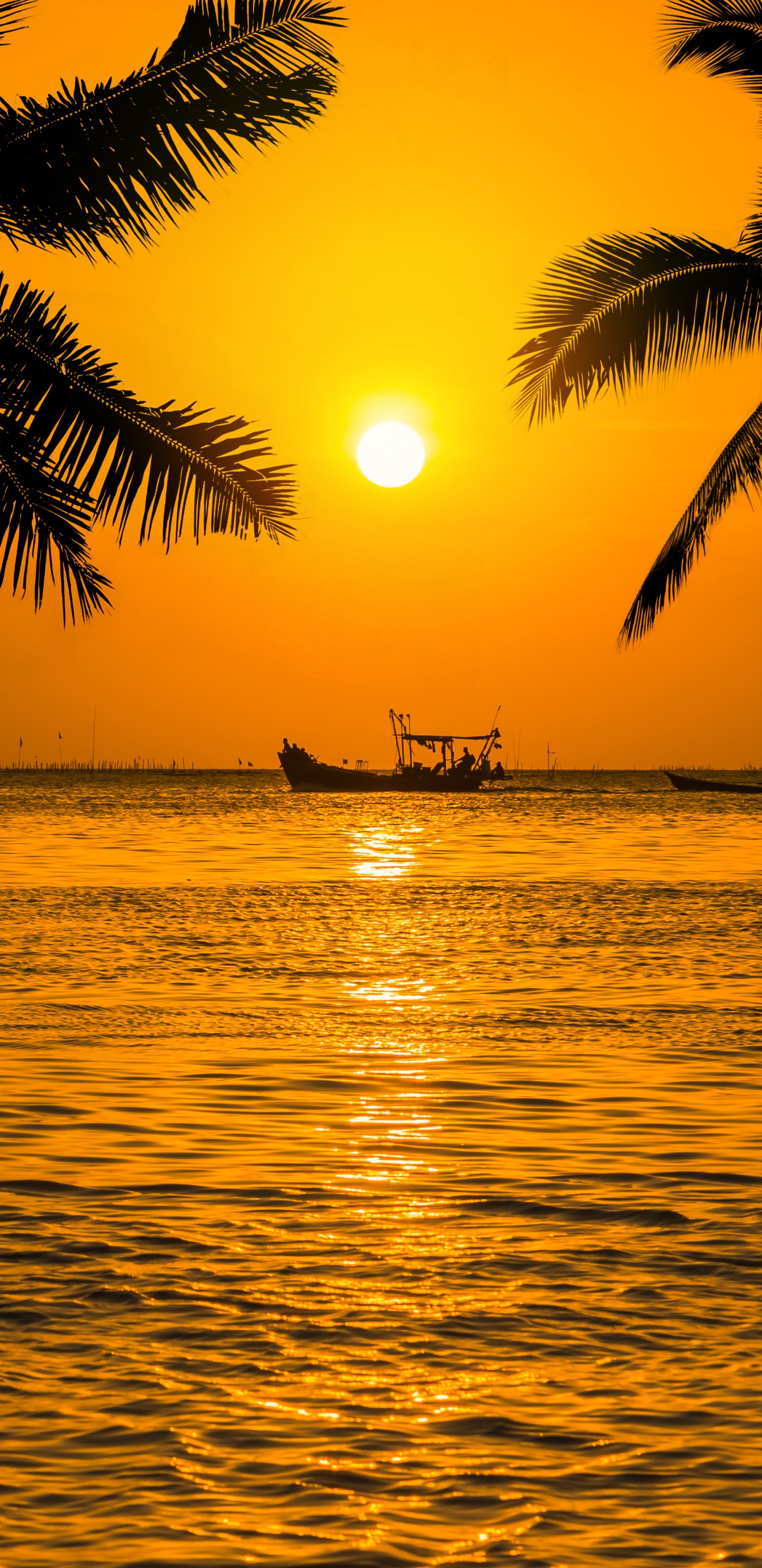 Photography Sunset, 1440x2960, Phone HD Wallpaper